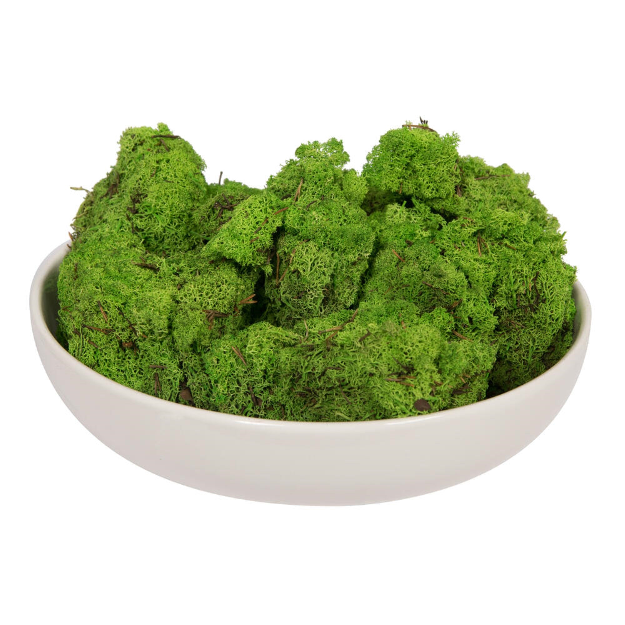 2 Lb Grass Green Preserved Reindeer Moss