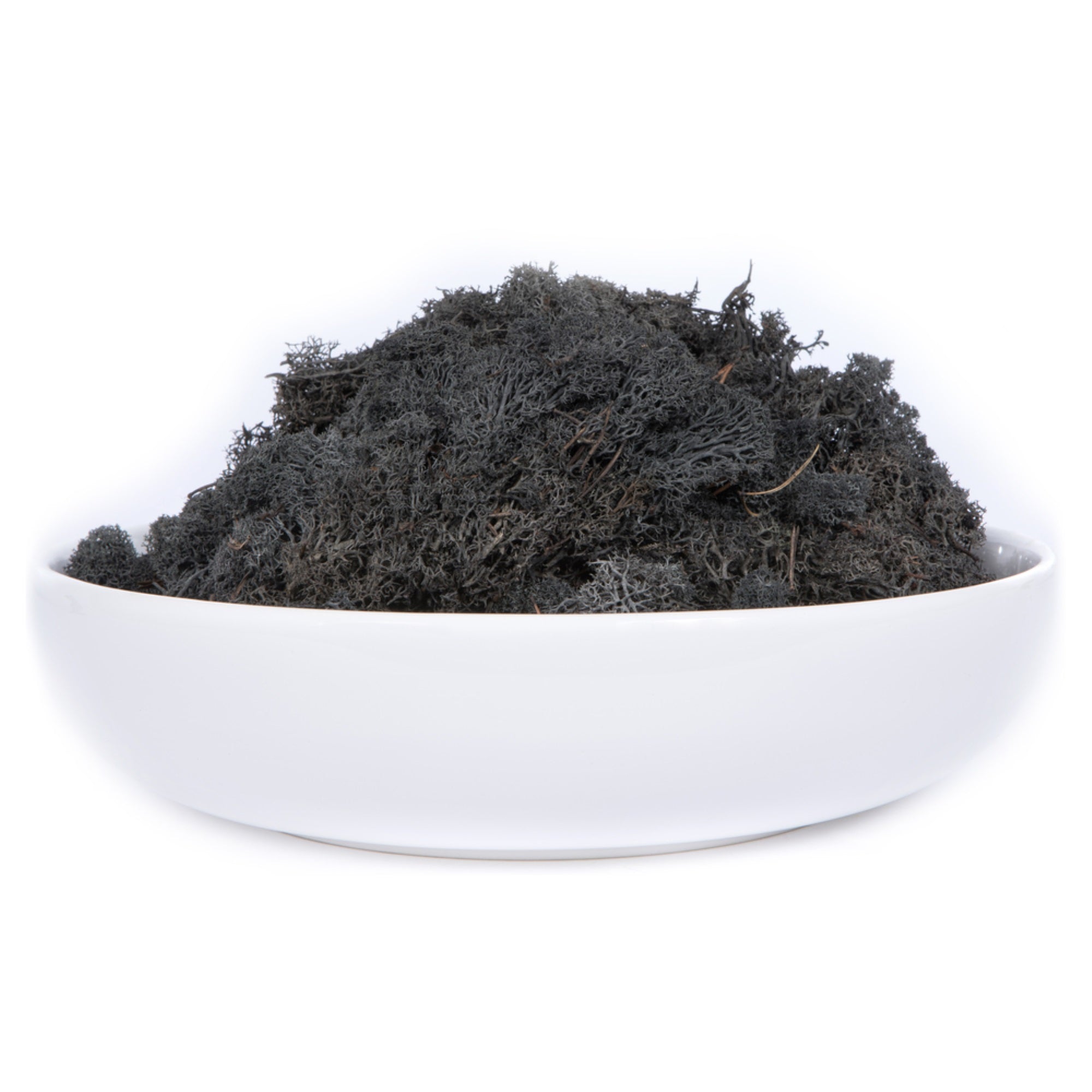Black Reindeer Moss - 8.8 lbs/Box