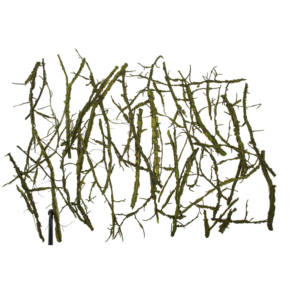 Vickerman Basil Winged Elm Branches - Bulk - H4WEB100