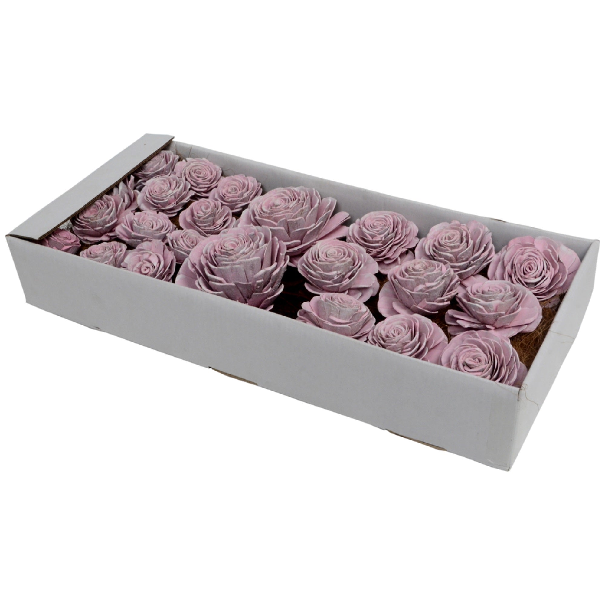 2”- 6” Pink White Sola Rose Asst 23Box