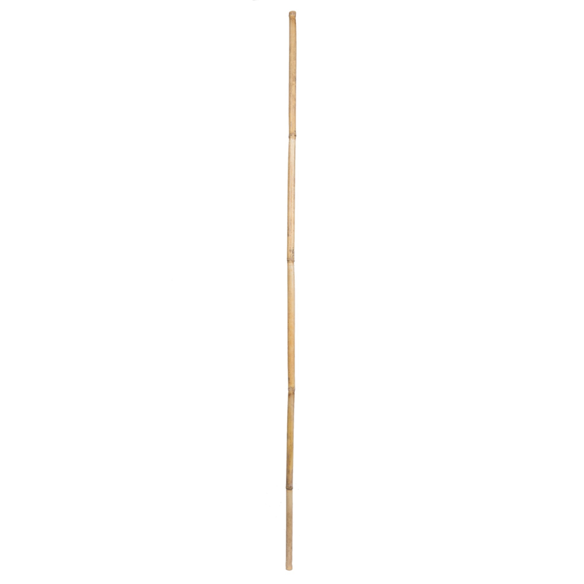 60” Bamboo Reed Natural 100/pk