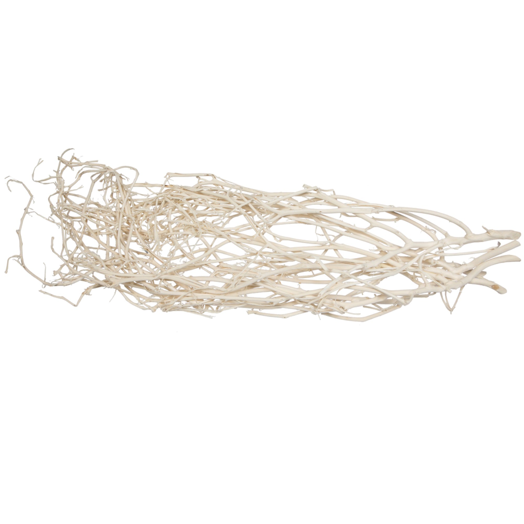 32” Begun Tree Bleached 5/pk