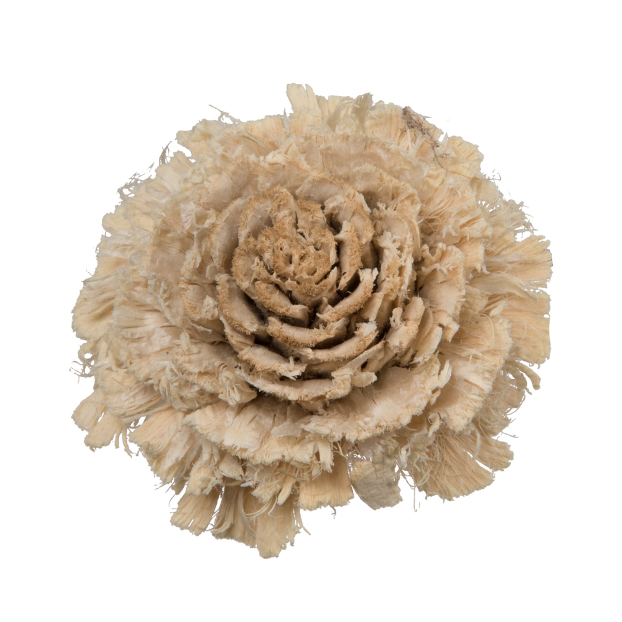 1.3-1.8” Cedar Rose Bleached 50/pk