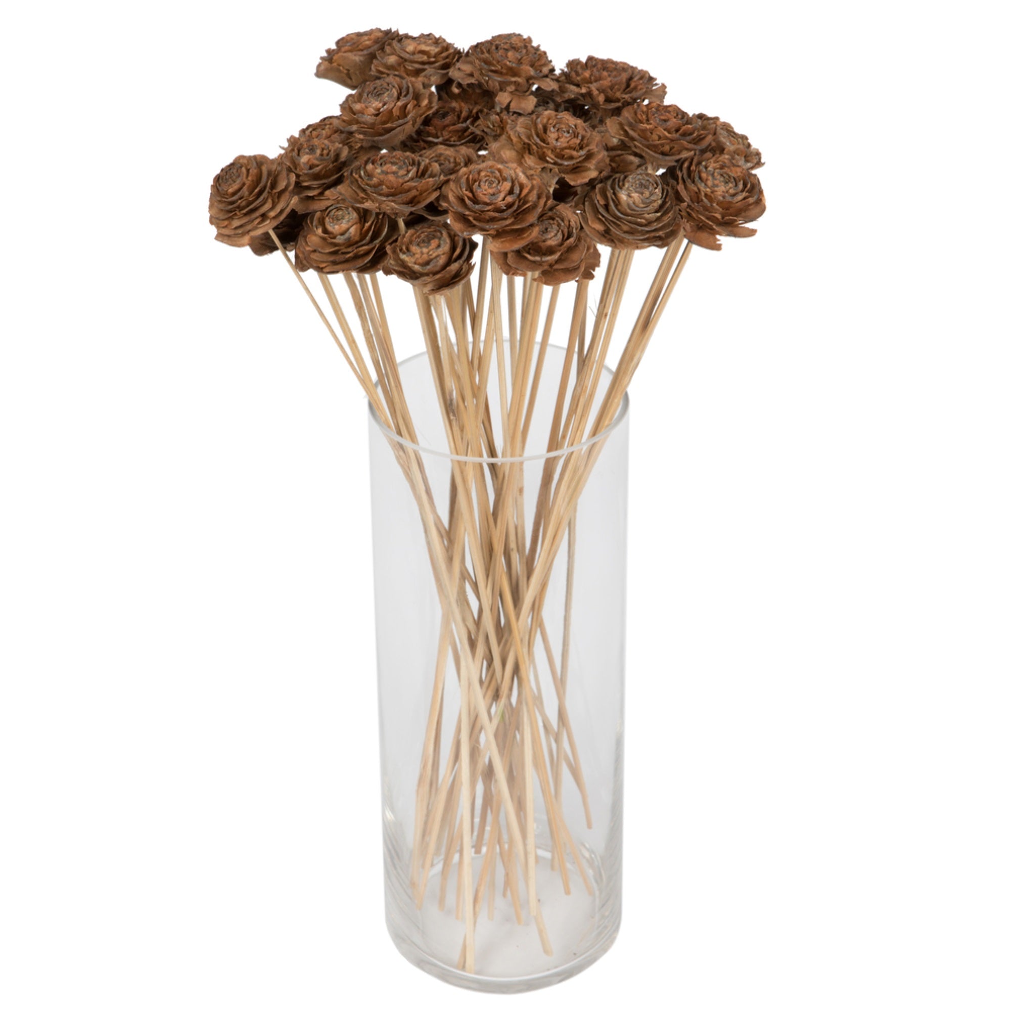 1.3-1.8” Cedar Rose Natural Stem 50/pk