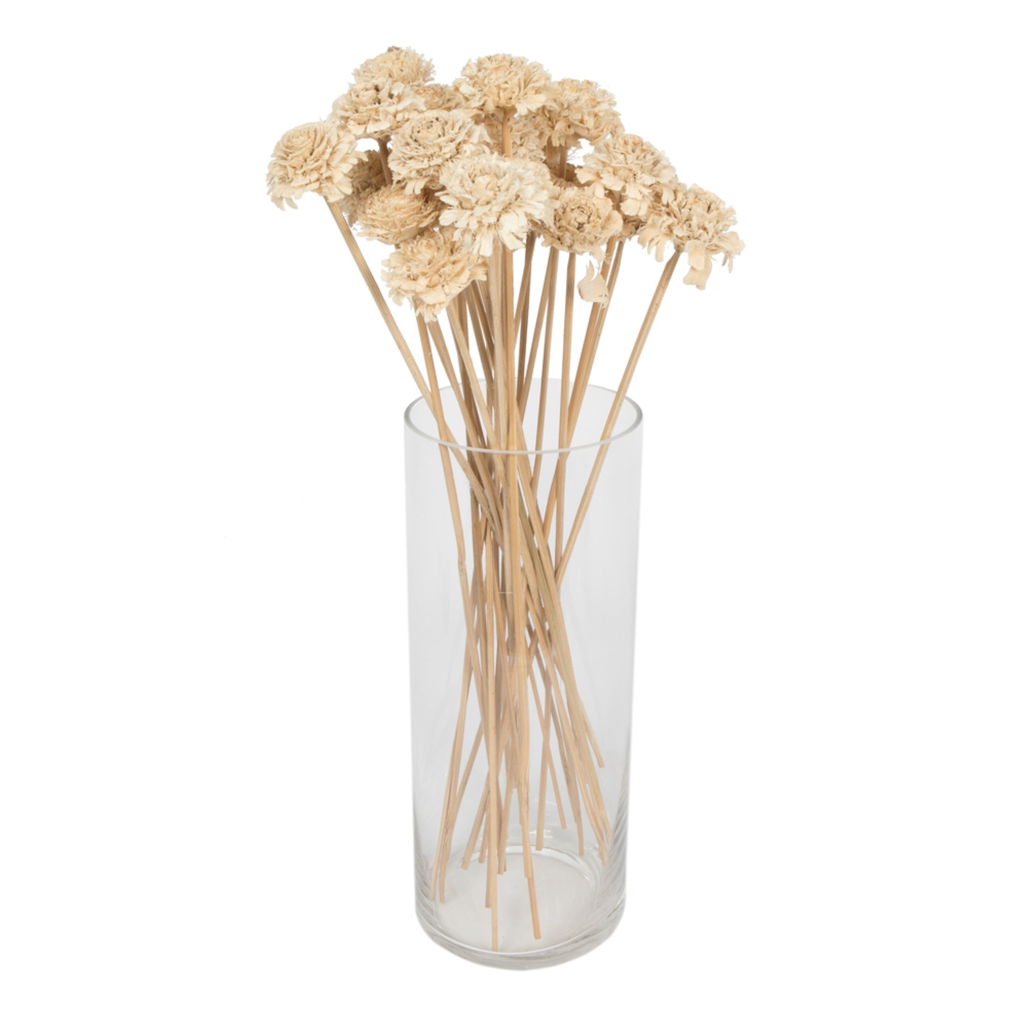 1.3-1.75” Cedar Rose Bleach Stem 50/pk