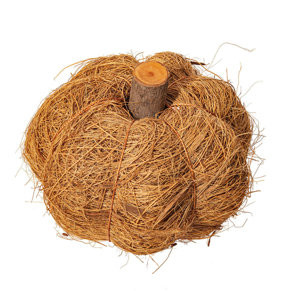 2.5-3” Natural Coir Pumpkin 24/bag