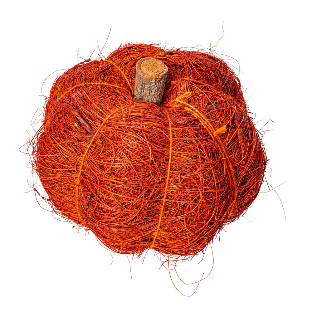2.5-3” Autumn Coir Pumpkin 24/bag