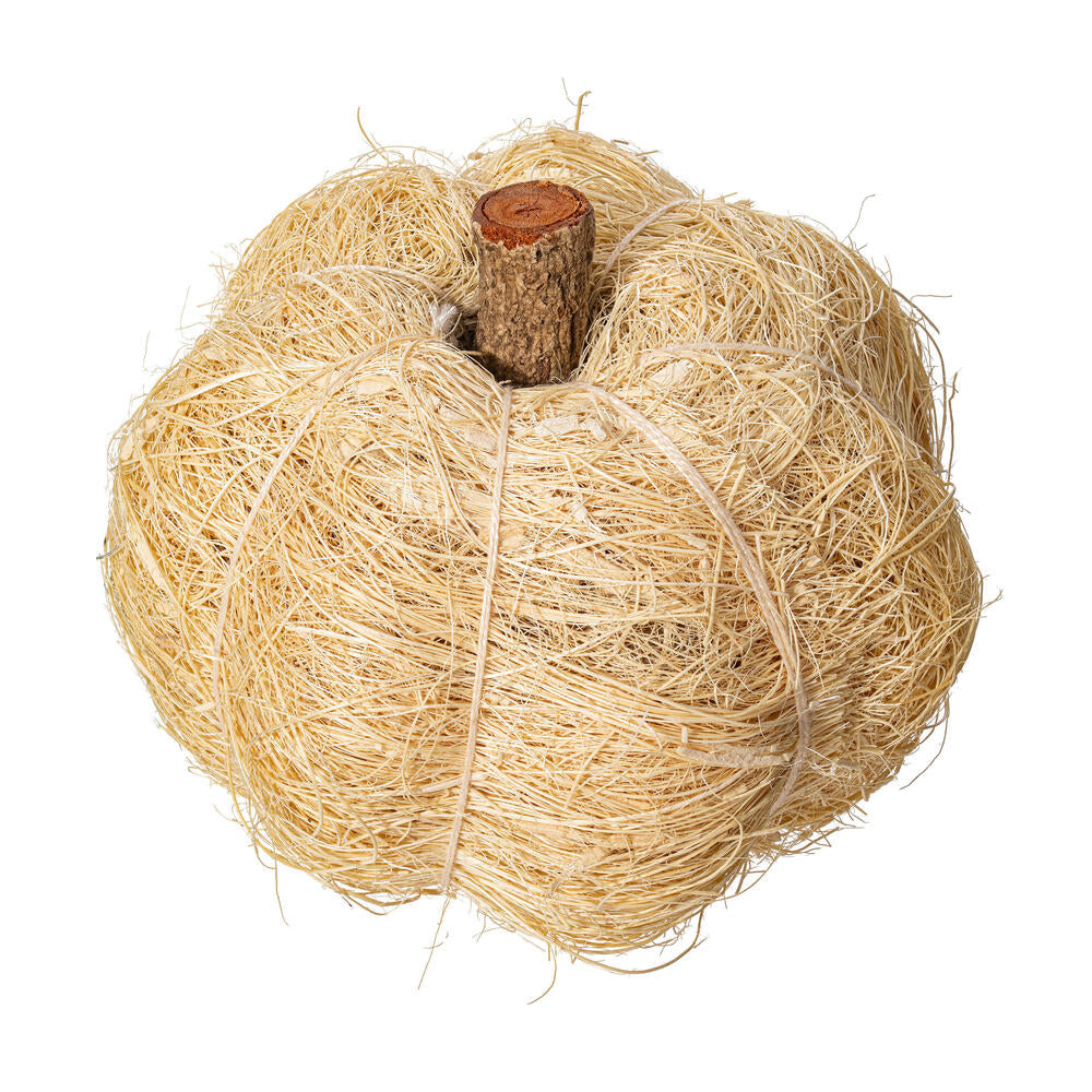 2.5-3” Bleached Coir Pumpkin 24/bag