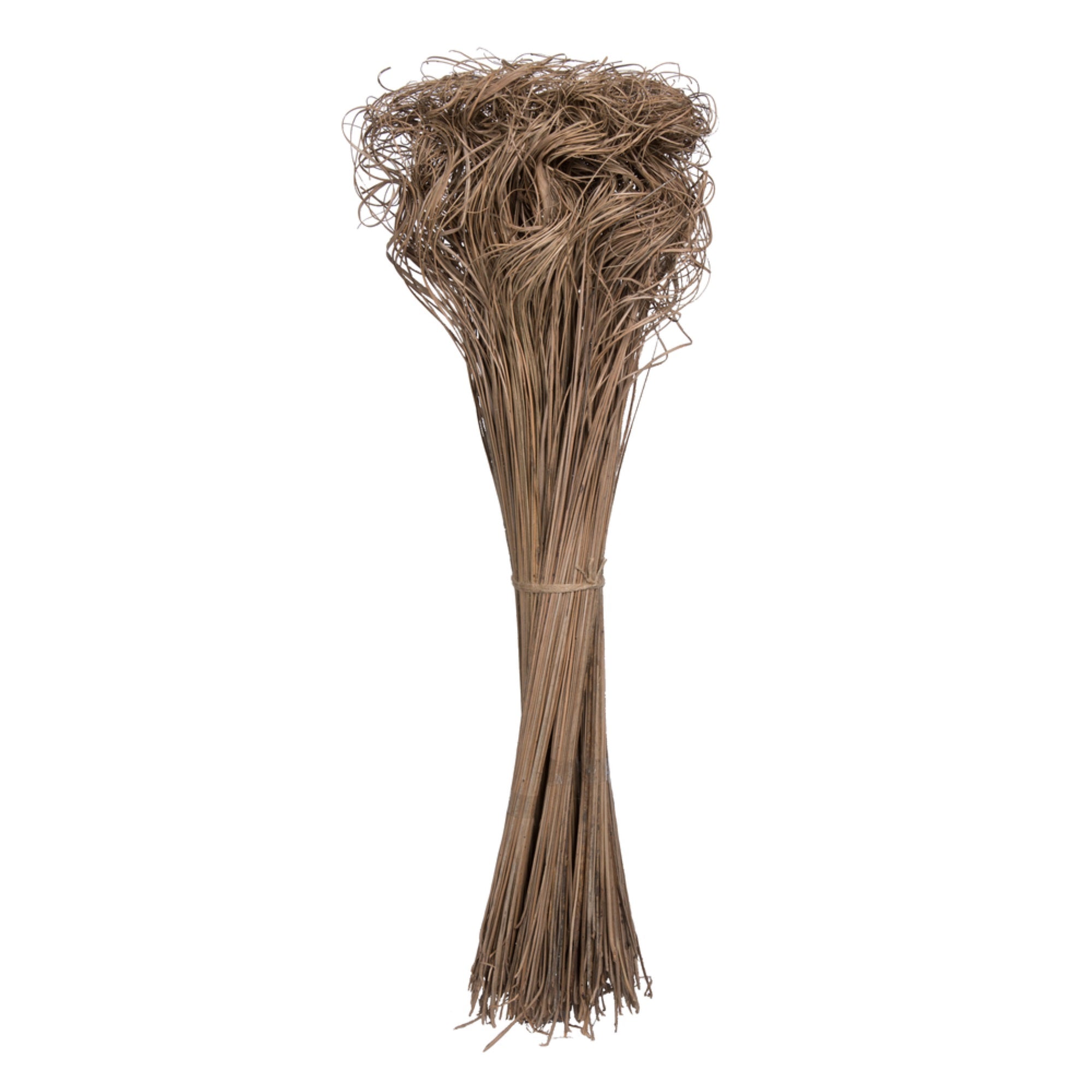 Vickerman Natural Botanicals 24” Curly Ting Ting Natural. 10 bunches per Pack (100 grams open Bunch).