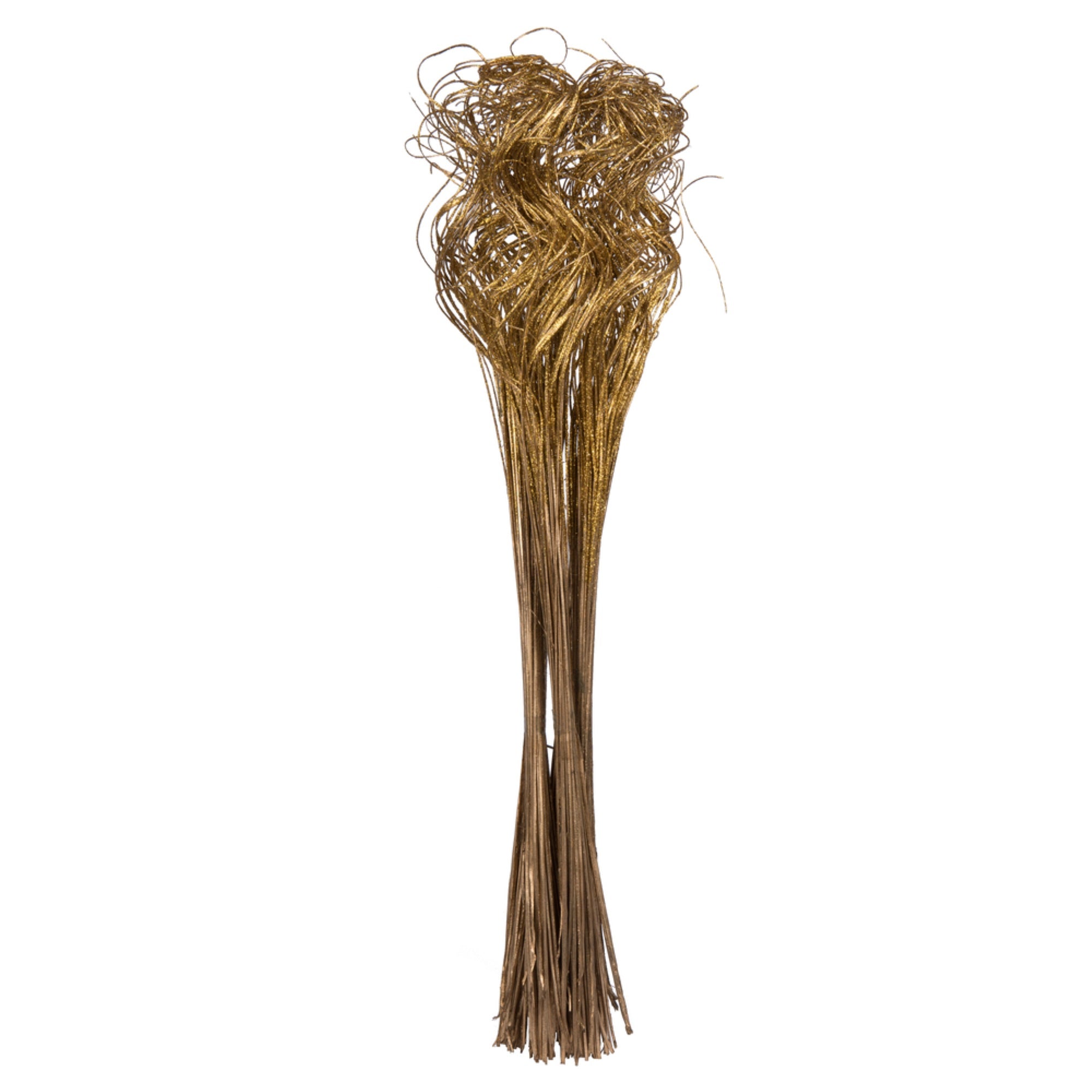 Vickerman Natural Botanicals 24”-28” Curly Ting Ting Gold with Gold Glitter. 5 bunches per Pack.