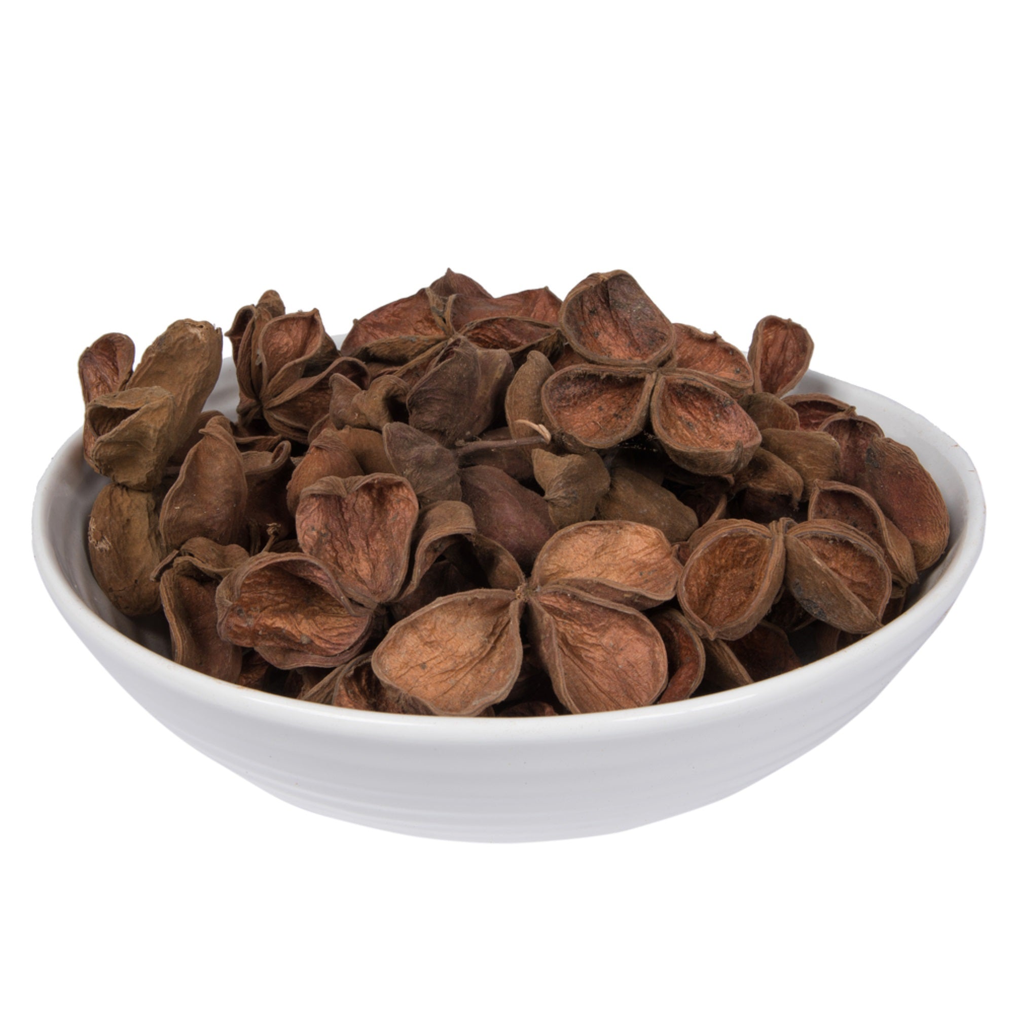 Vickerman Natural Botanicals 3.2”-4” Land Lotus. Includes 50 pieces per Pack.