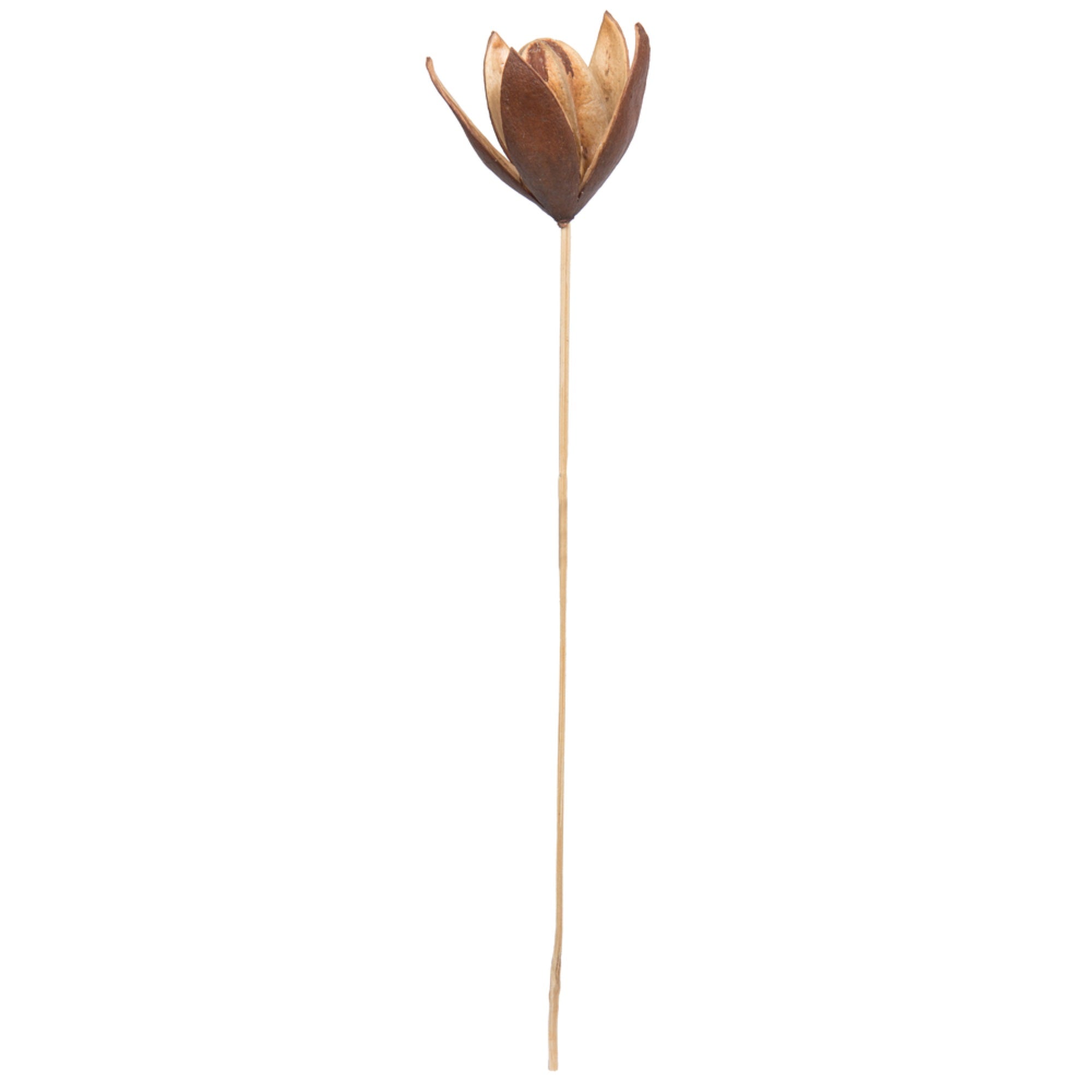 Vickerman Natural Botanicals 20 Lily On Stem. Includes 50 Stems Per Pack