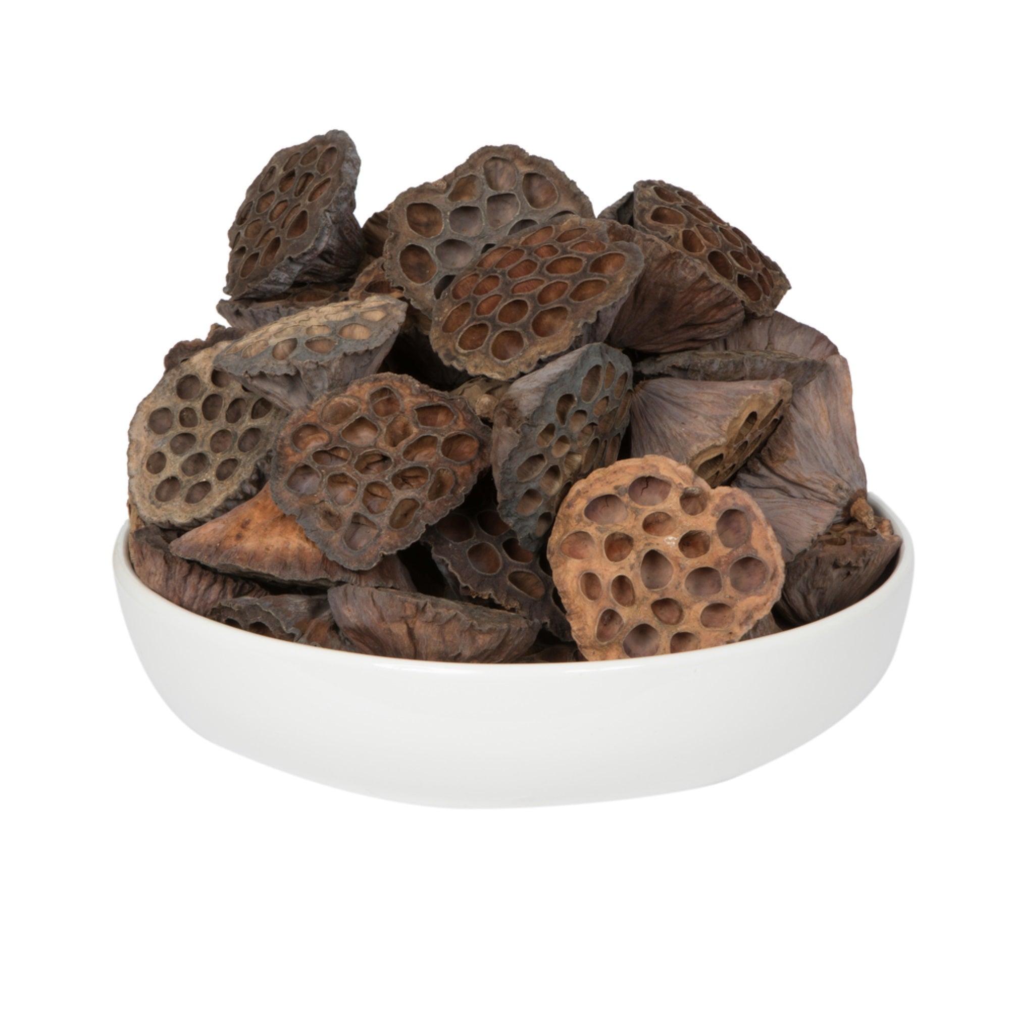 Vickerman Natural Botanicals 3.2”-4” Lotus Pod Large. Includes 70 pieces per Pack.