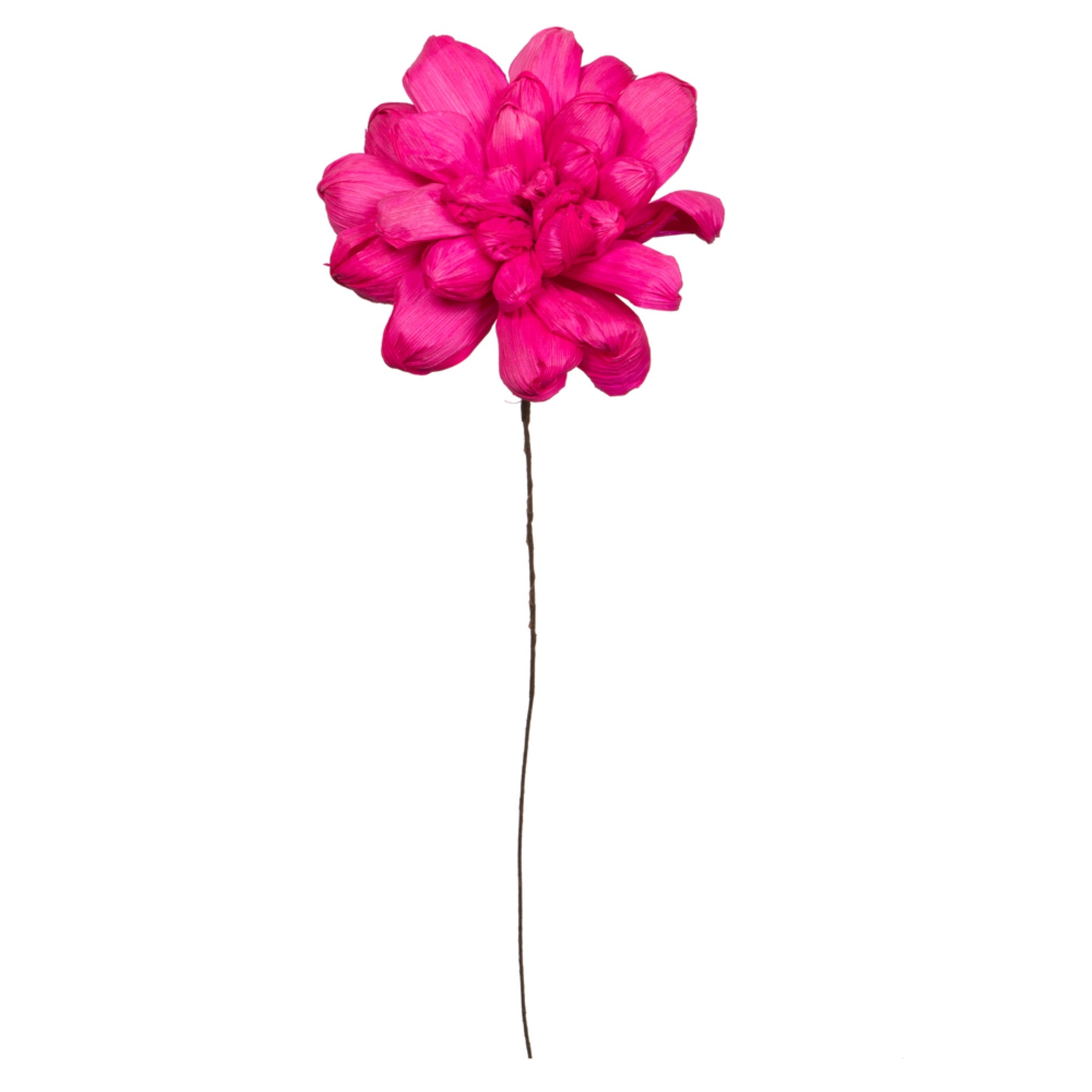 Vickerman Natural Botanicals 6” Raspberry Maize Dahlia. 6 stem/bag. Dried and preserved.