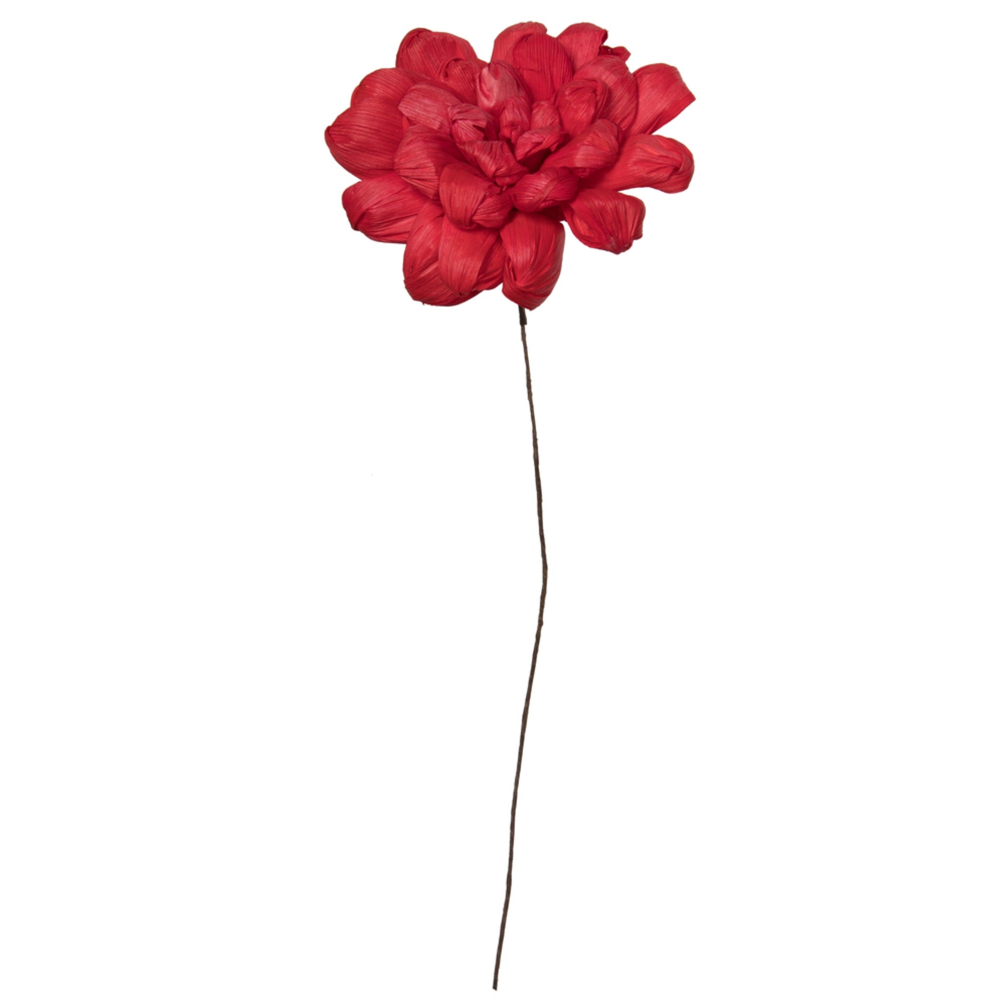 Vickerman Natural Botanicals 6” Red Maize Dahlia. 6 stem/bag. Dried and preserved.