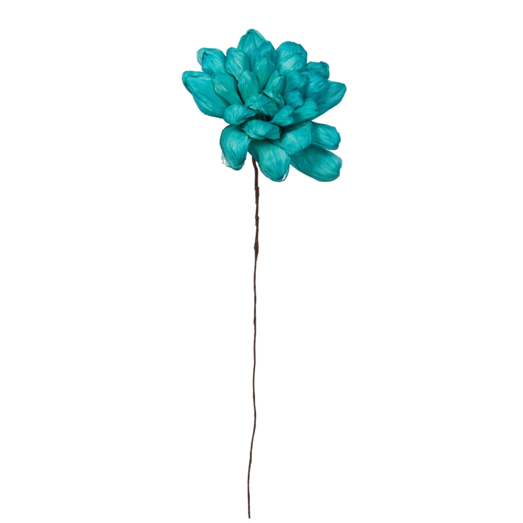Vickerman Natural Botanicals 6” Turquoise Maize Dahlia on 18” wire stem- 6 stem/bag. Dried and preserved.