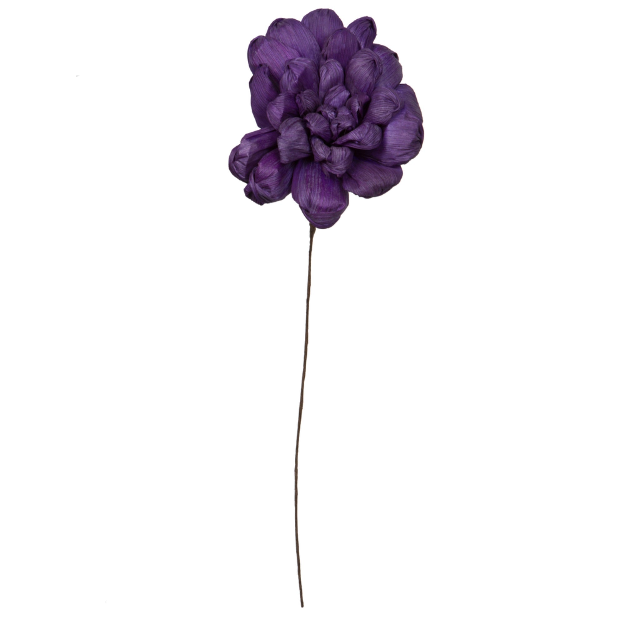 Vickerman Natural Botanicals 6” Violet Maize Dahlia. 6 stem/bag. Dried and preserved.