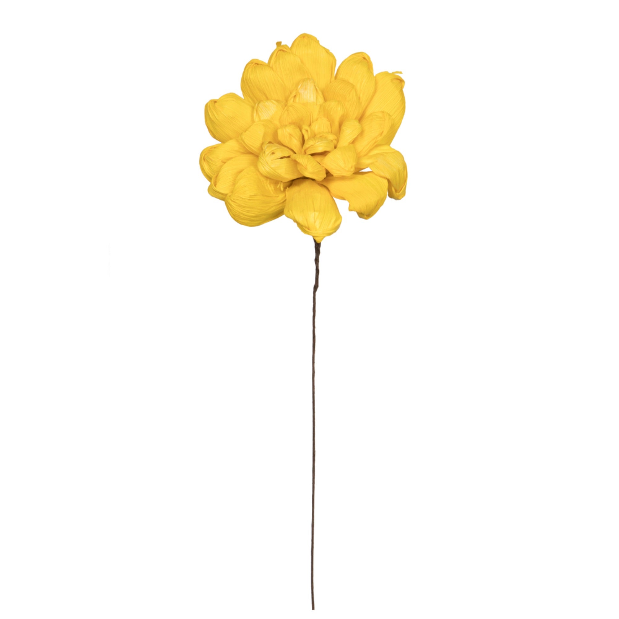 Vickerman Natural Botanicals 6” Yellow Maize Dahlia on 18” wire stem- 6 stem/bag. Peserved.