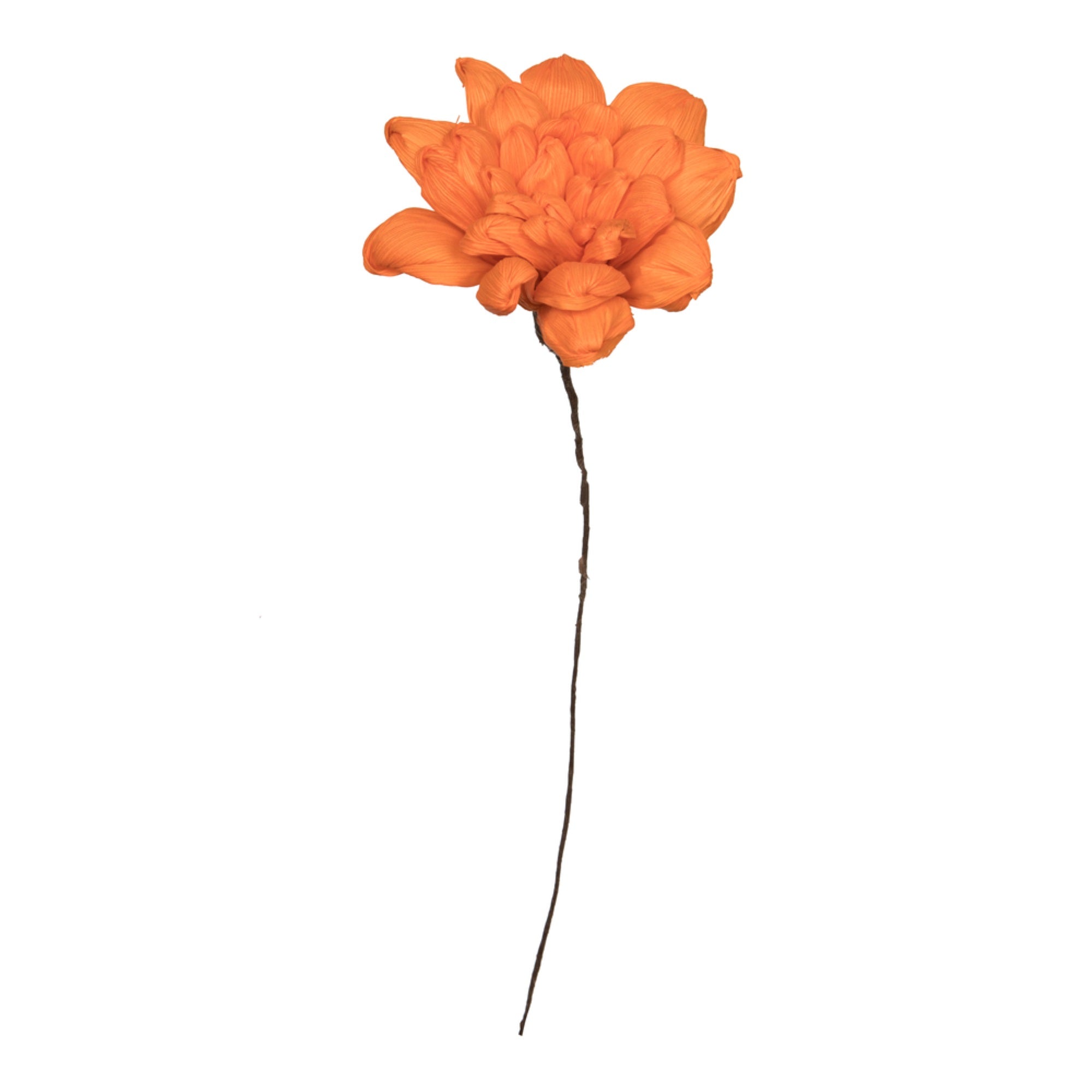 Vickerman Natural Botanicals 6” Orange Maize Dahlia on 18” wire stem- 6 stem/bag. Dried and preserved.