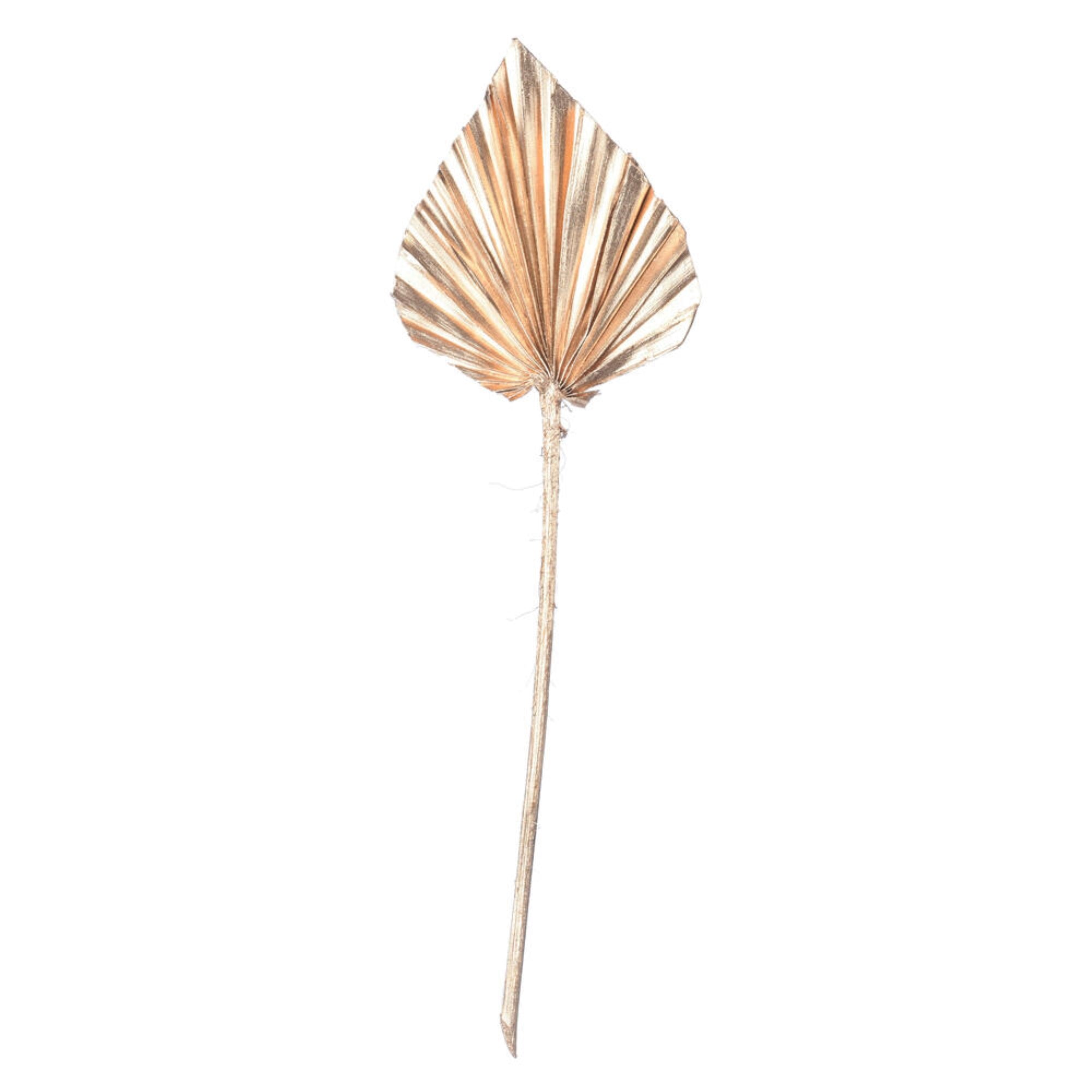Vickerman Natural Botanicals 15.75 - 19.5” Metallic Gold Dried Palm Spear 12 per bag.
