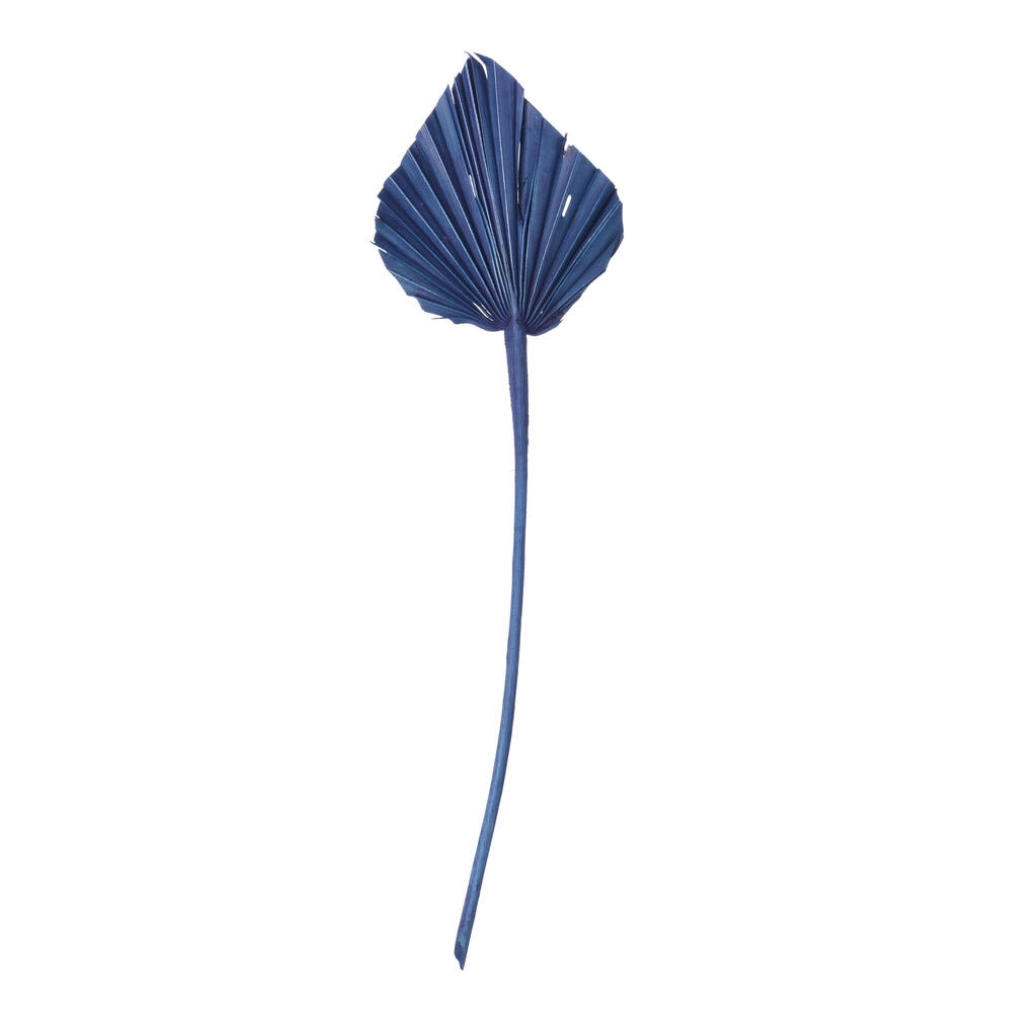 Vickerman Natural Botanicals 15.75 - 19.5” Midnight Blue Dried Palm Spear 12 per bag.