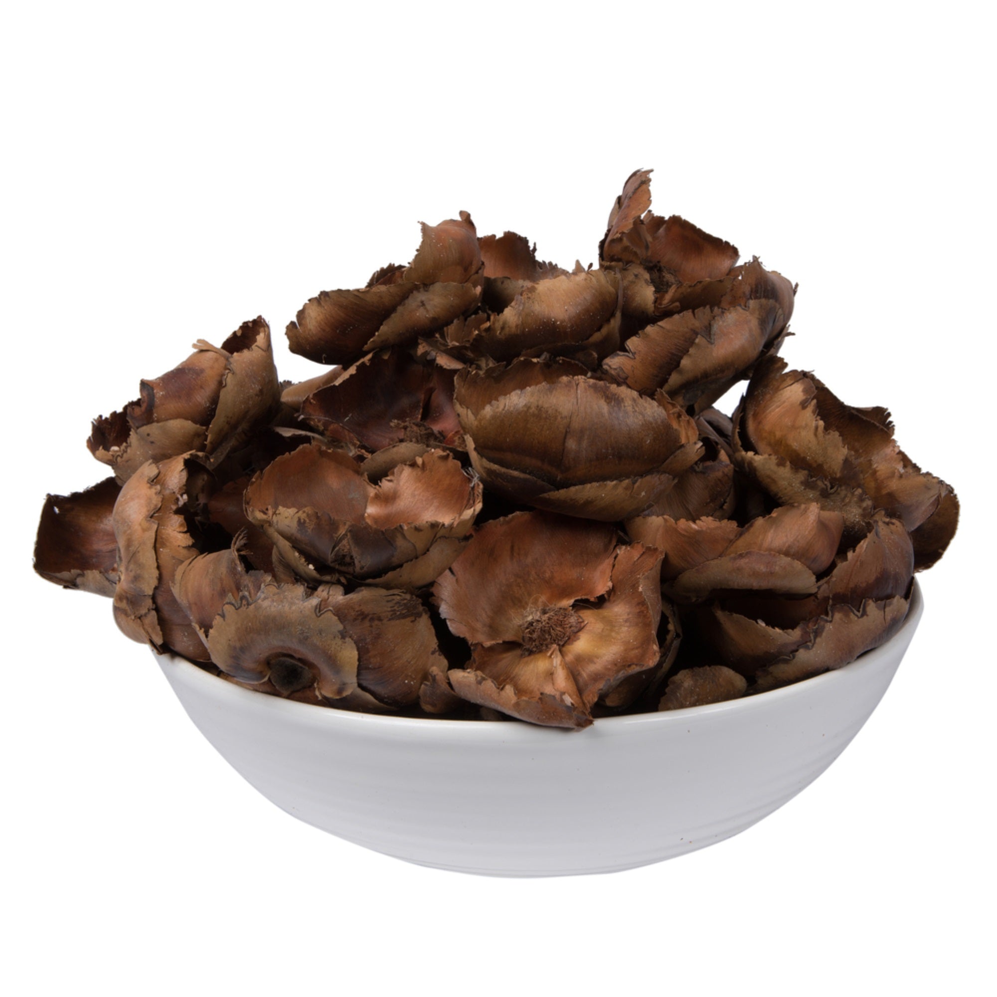 2.75” Palm Cap Natural 100/pk