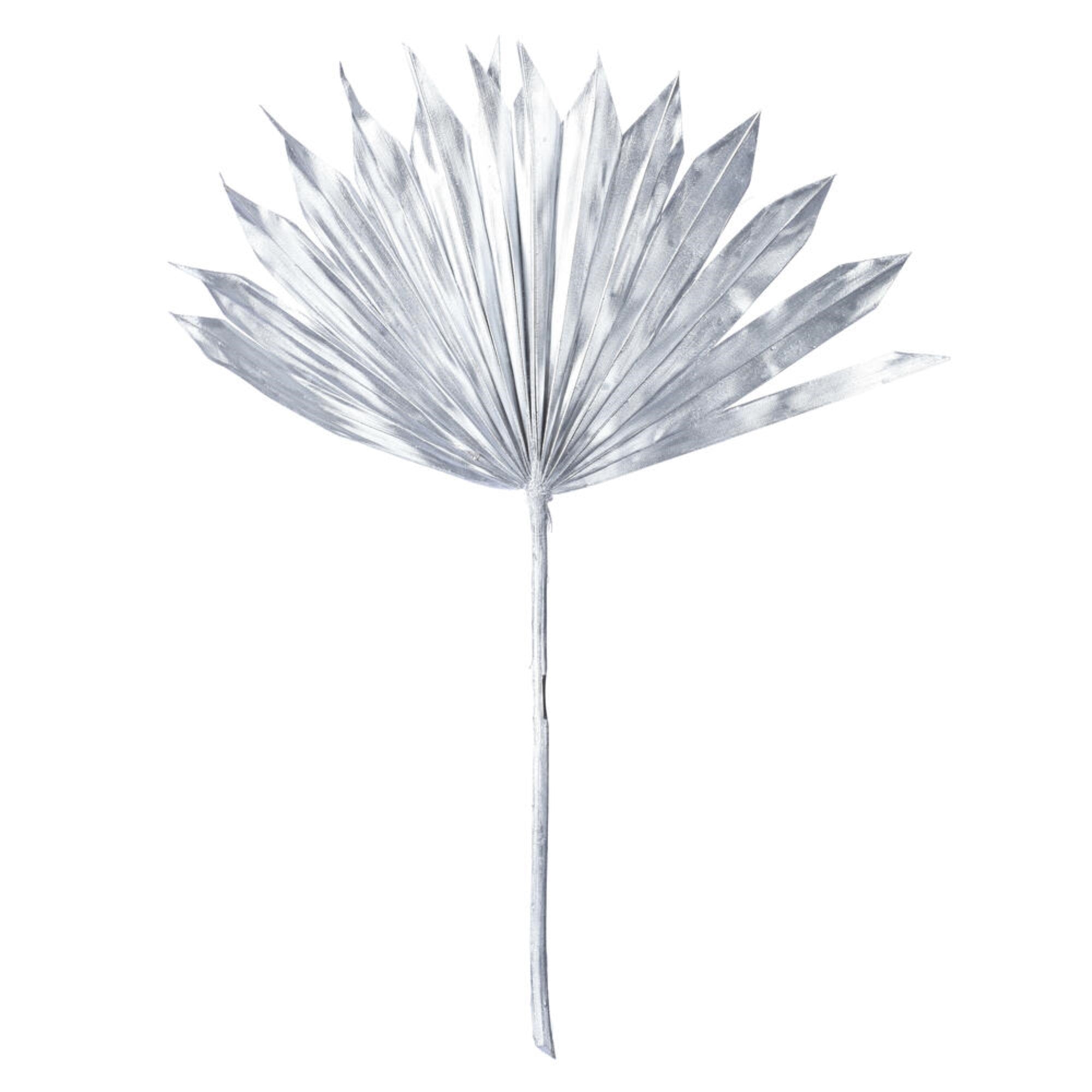 Vickerman Natural Botanicals 13.75 - 19.5” Metallic Silver Dried Palm Sun Spear 12 per bag.