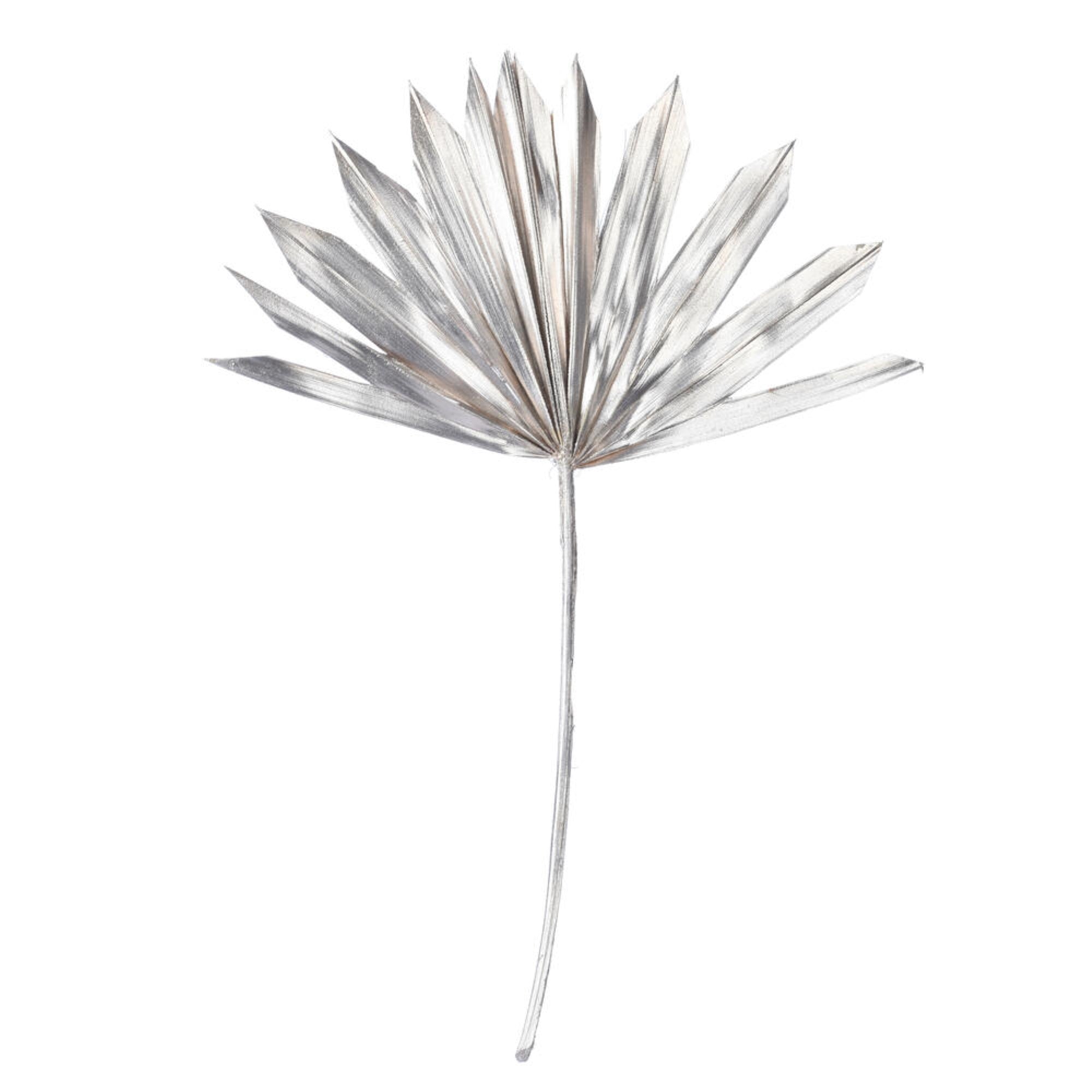 Vickerman Natural Botanicals 13.75 - 19.5” Metallic Champagne Dried Palm Sun Spear 12 per bag.