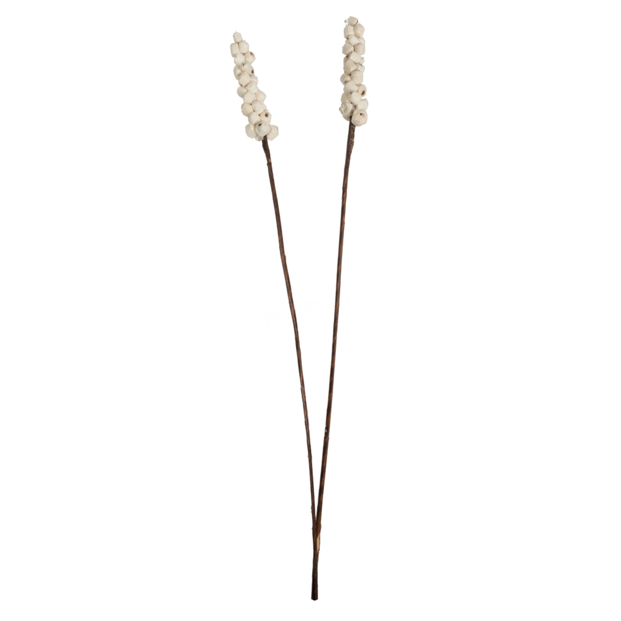 Vickerman Natural Botanicals 24” Natural Dried Sola Berries Stick- 24/bag. Dried and preserved.
