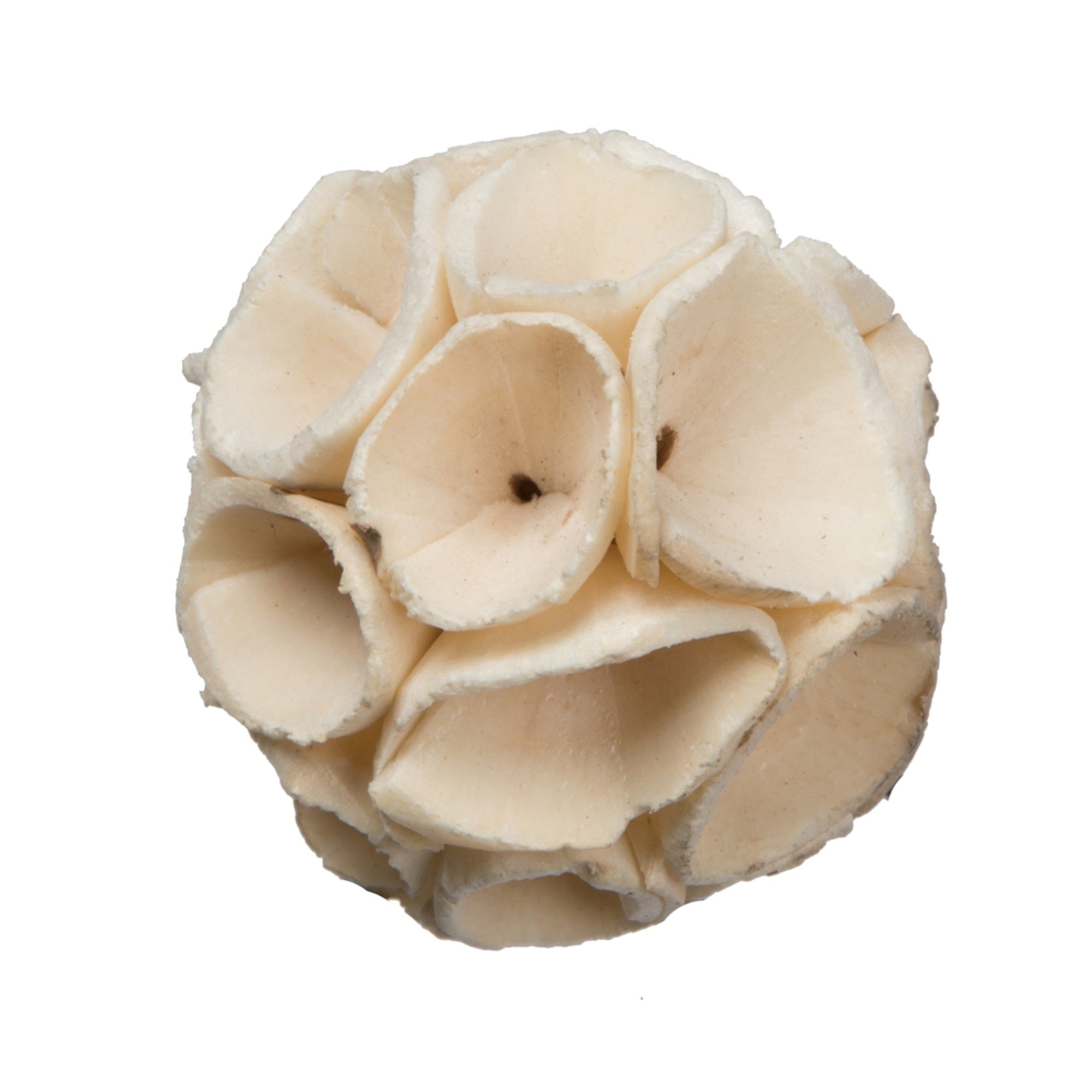 Vickerman Natural Botanicals 1.6” Sola Crape Ball. Includes 100 pieces per Pack.