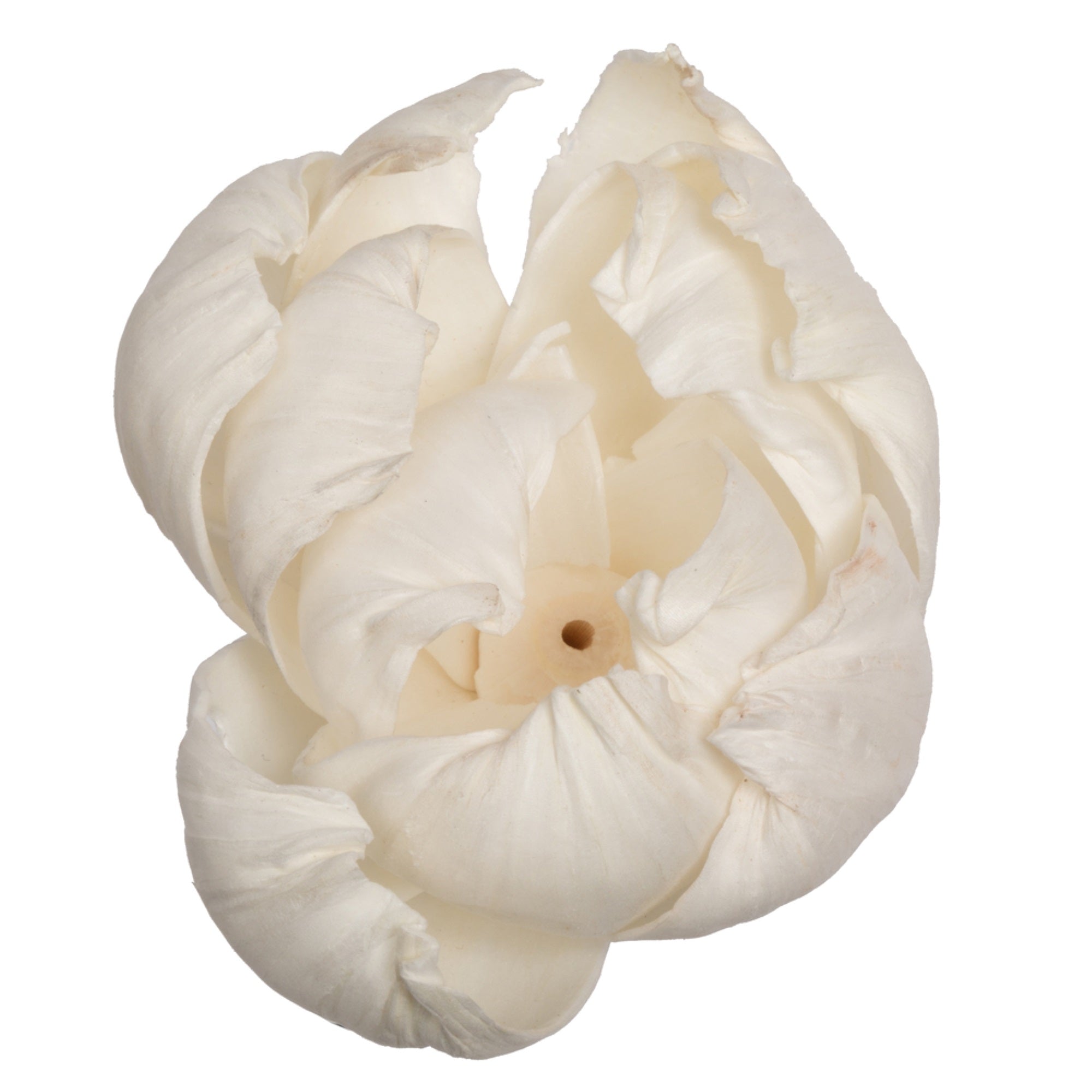 1-3” Assorted Peony Sola Head 24/bg