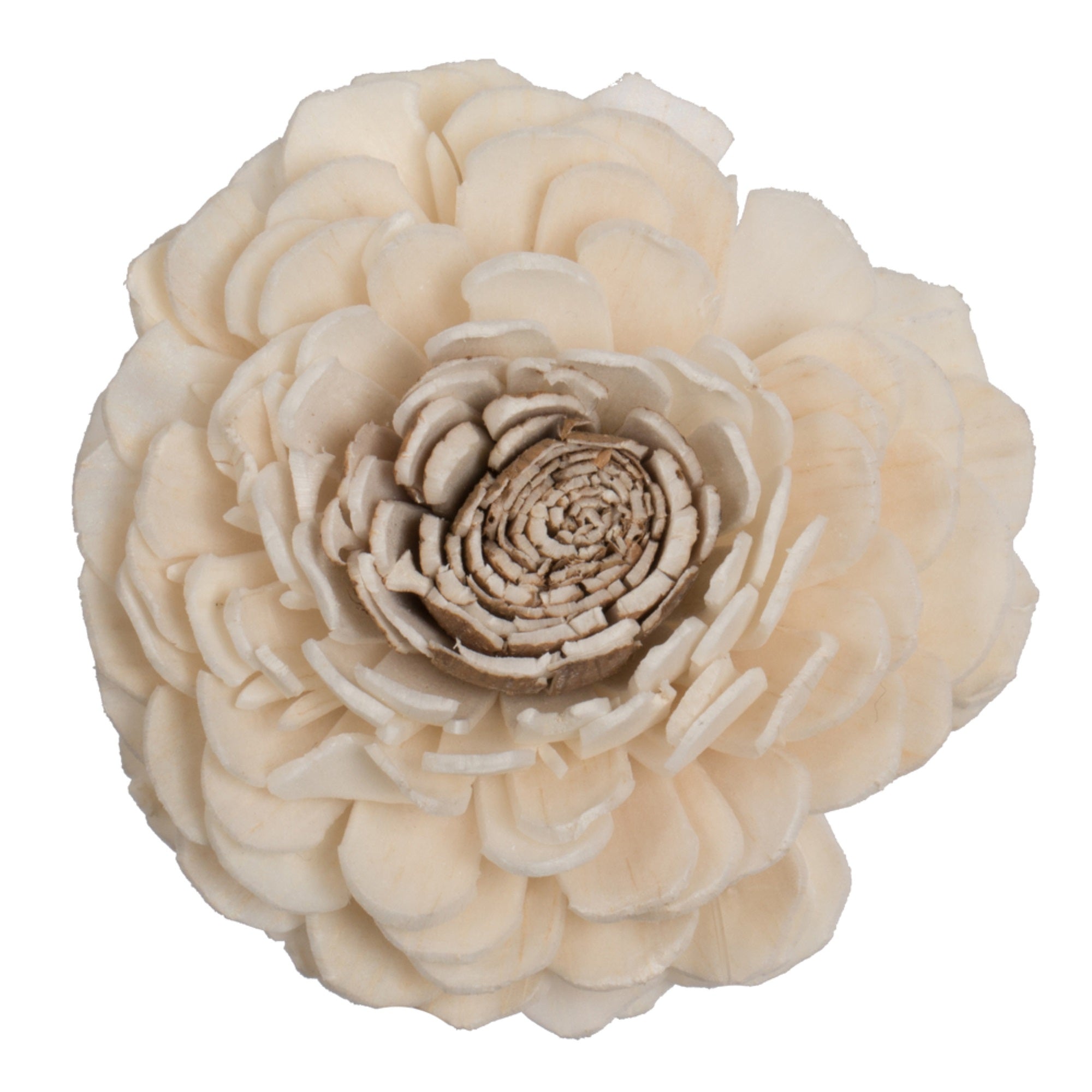 1-3” Assorted Charki Sola Head 24/bg