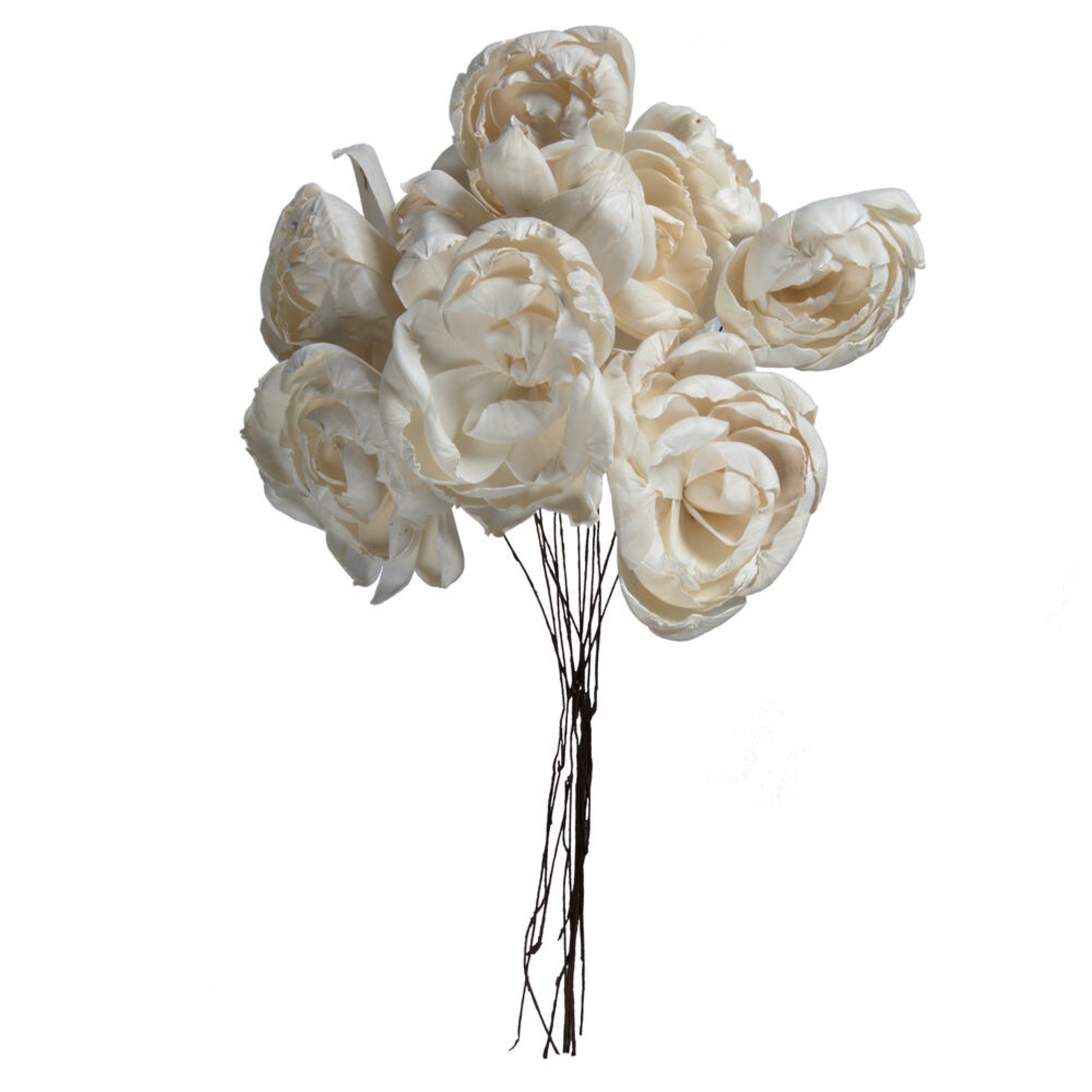 4” Peony Sola Flower on 12” Stem 12/bg
