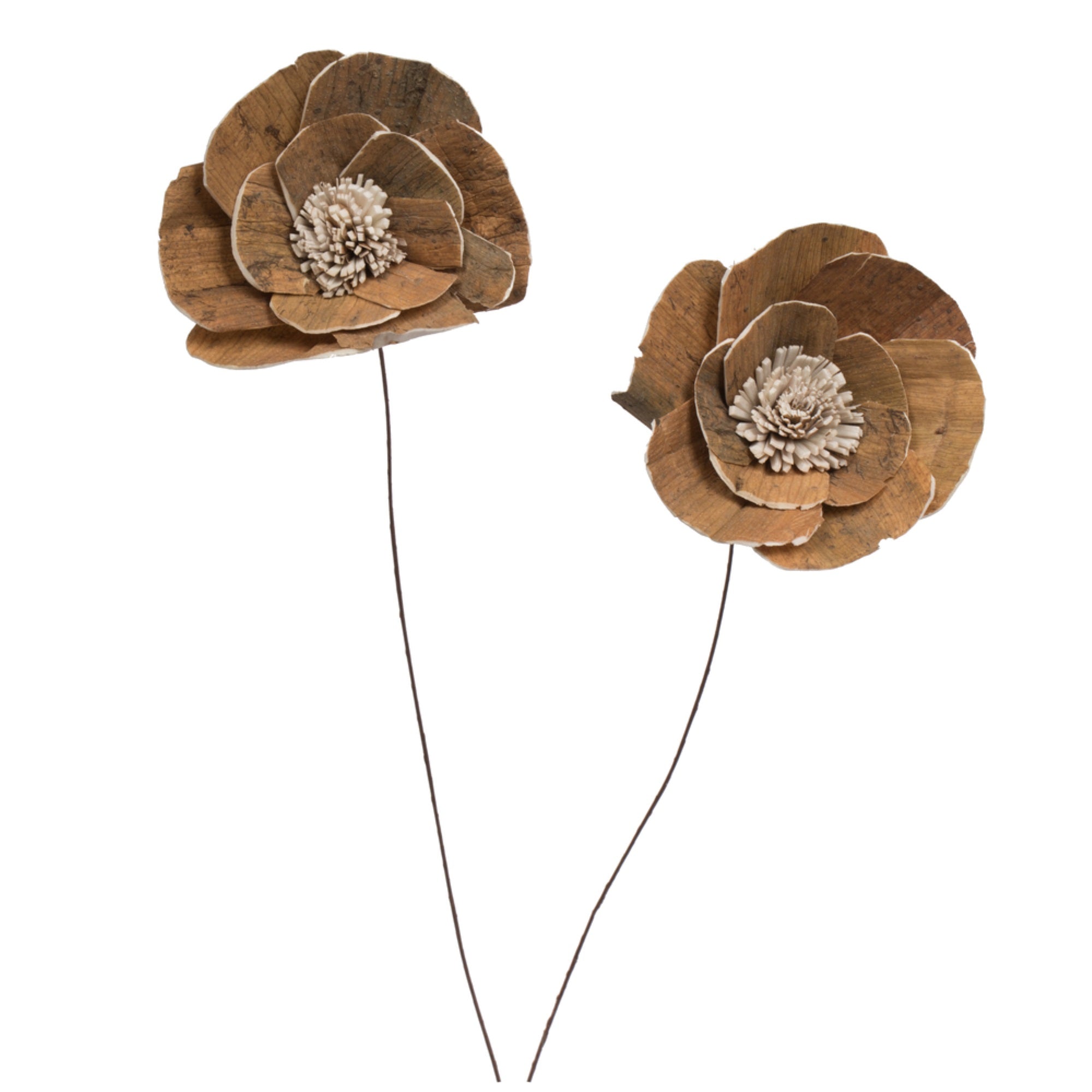 4” Walnut Sola Flower on 12” Stem 12/bg
