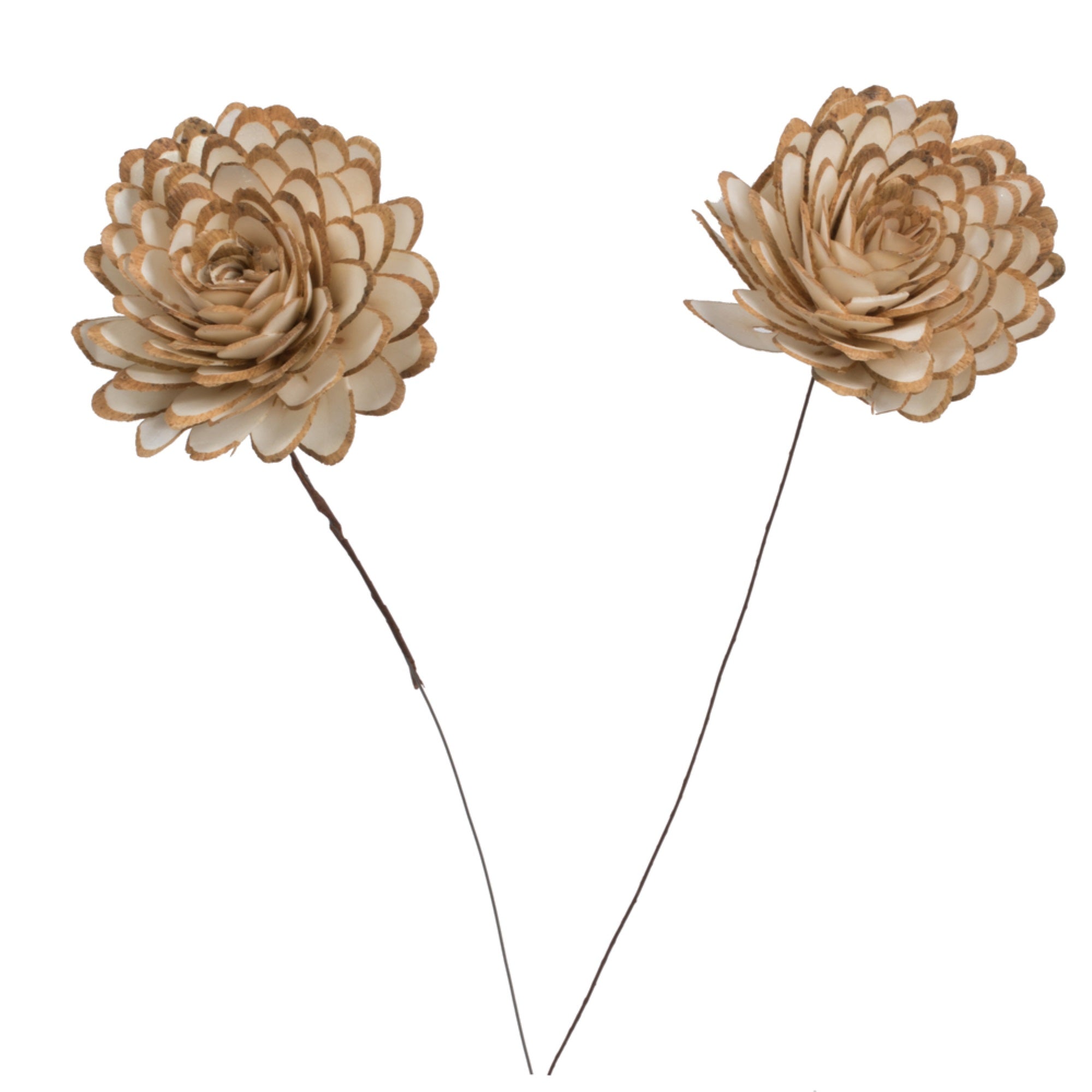 4” Almond Sola Flower on 12” stem 12/bg