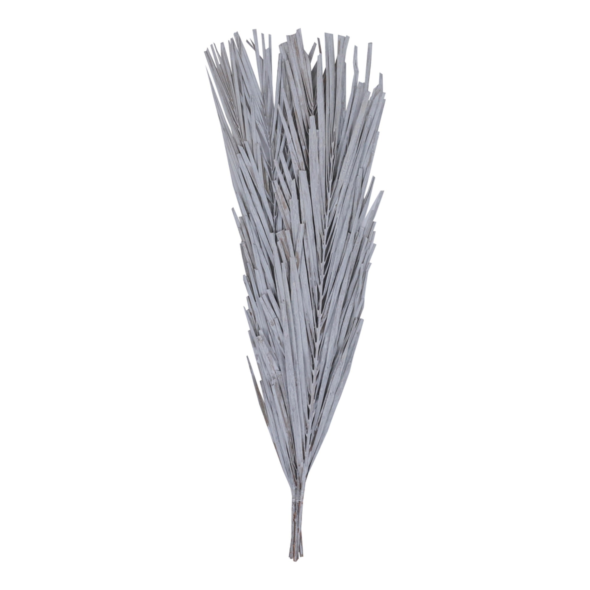 Vickerman Natural Botanicals 25” White Washed Canna Leaf 10 Pieces per Bunch.