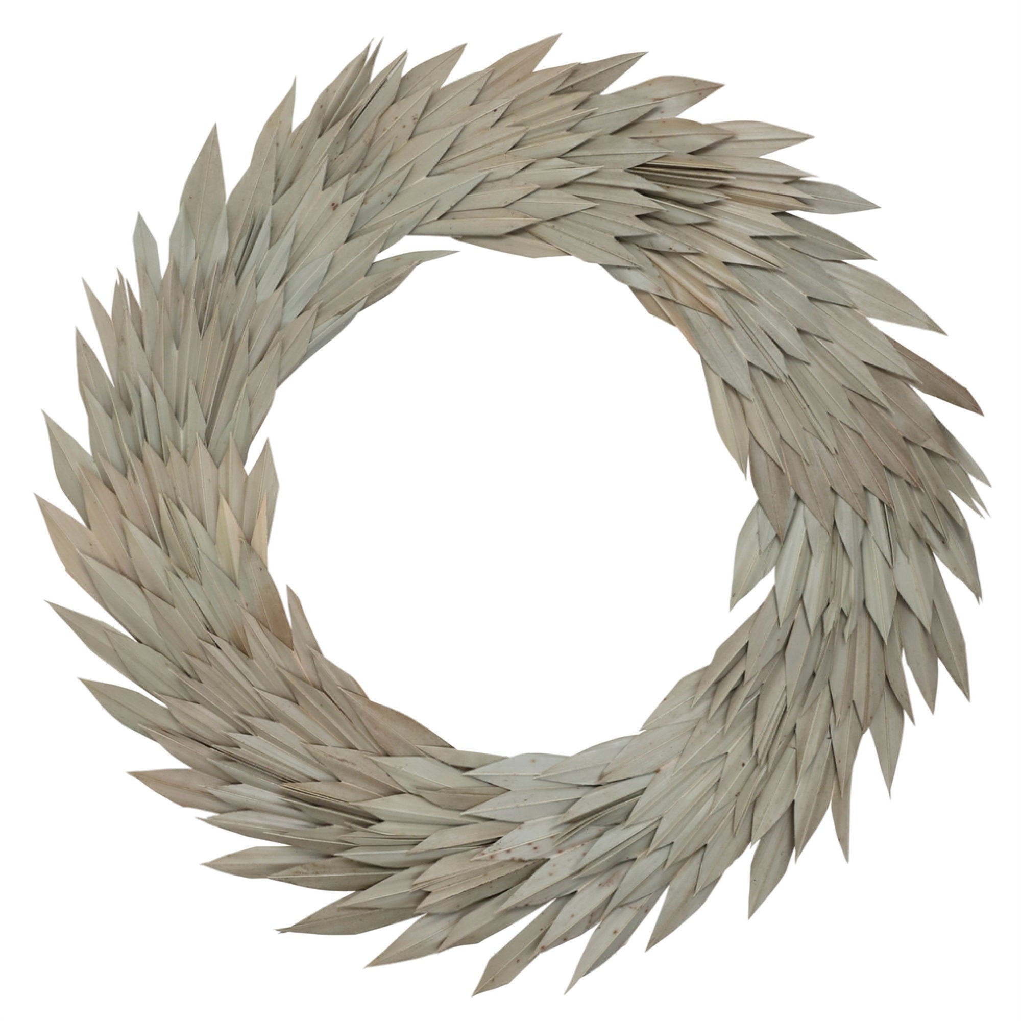 Vickerman Natural Botanicals 24” Natural Palm Sun Wreath. This wreath measures 24 inches in diameter. It features natural palm sun leaves on a coco fiber base. This is a dried and preserved natural product.