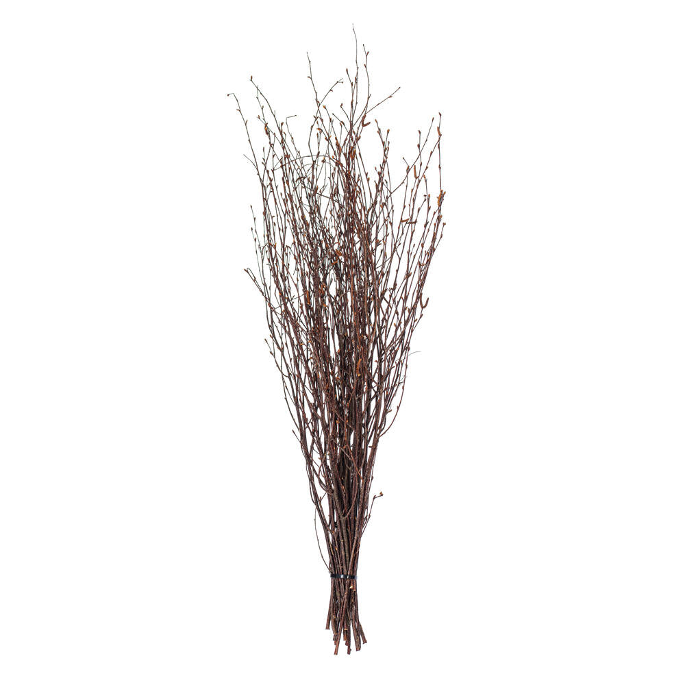 24” Natural Brown Birch Twig 30 stems