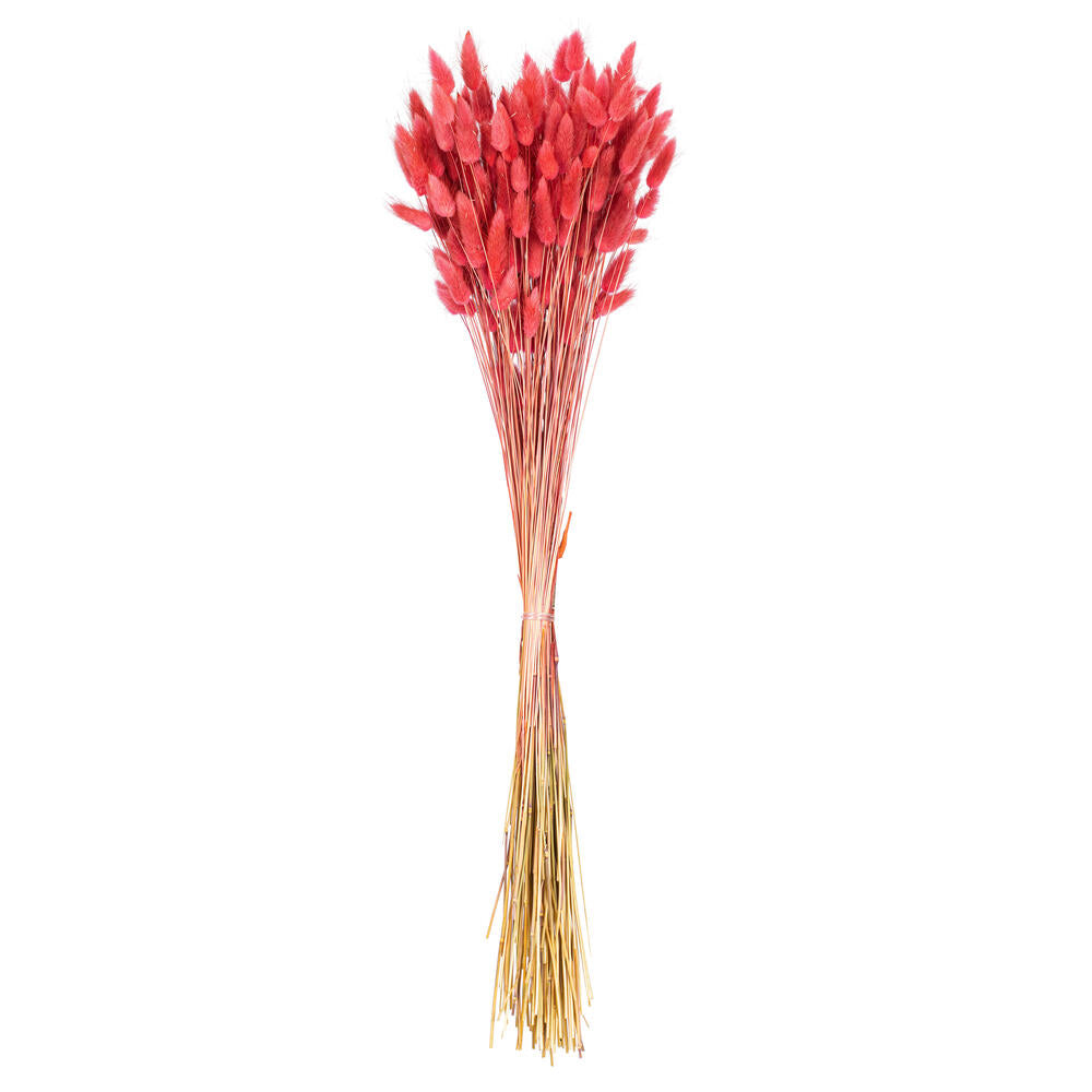 24” Pink Bunny Tail Lagurus 3.5 oz.