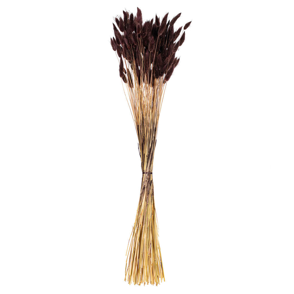 24” Brown Bunny Tail Lagurus 3.5 oz.