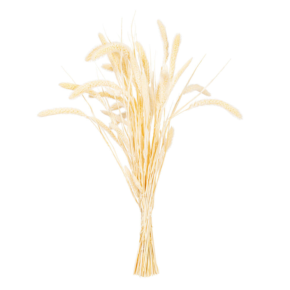 26” Bleached Setarea Bunch 3.25 oz.