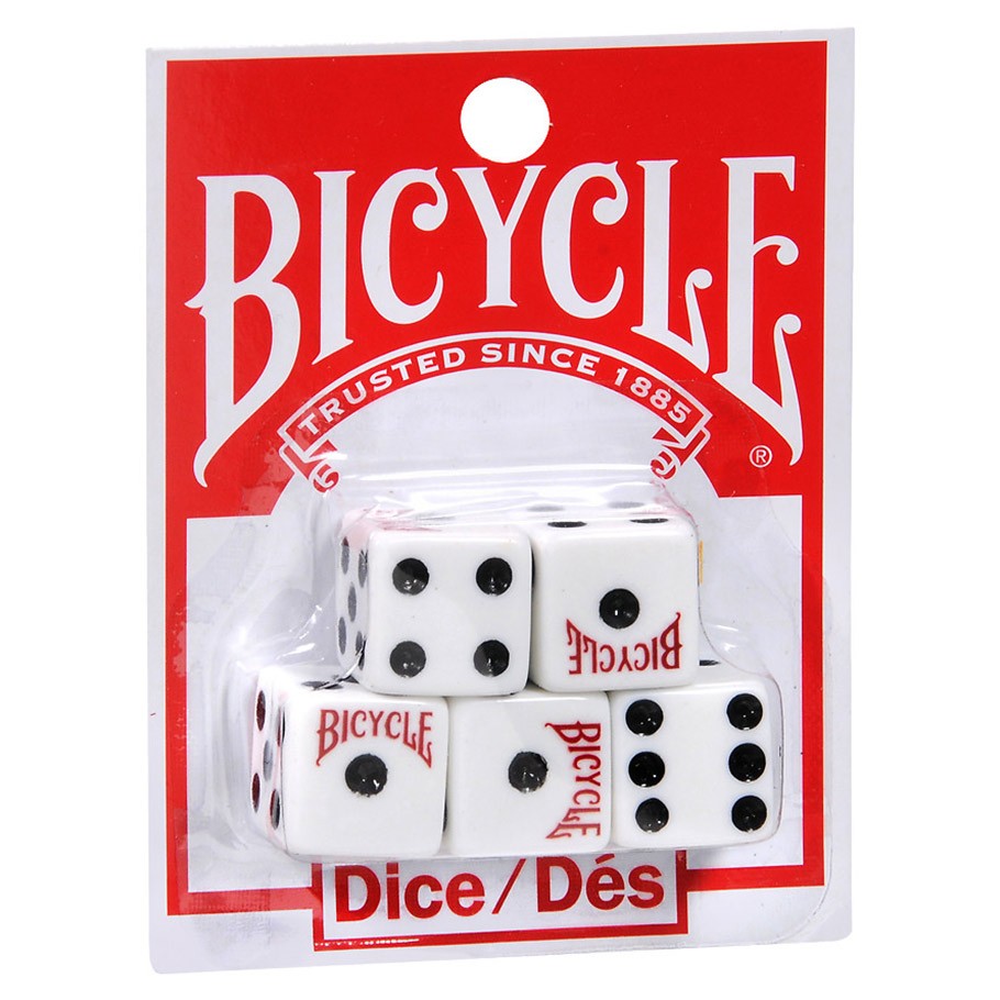 D6 Bicycle (5)