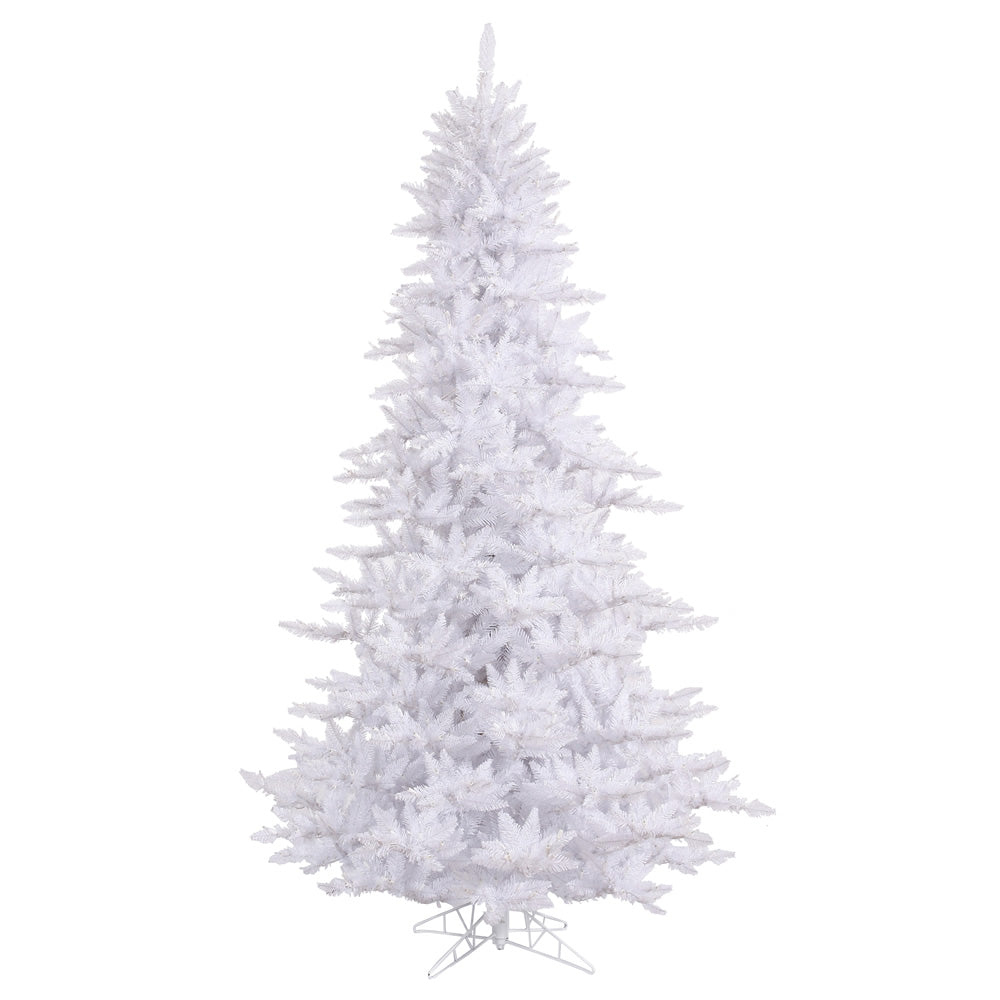 Vickerman 10'x68″ White Fir Tree 2980T - K160285