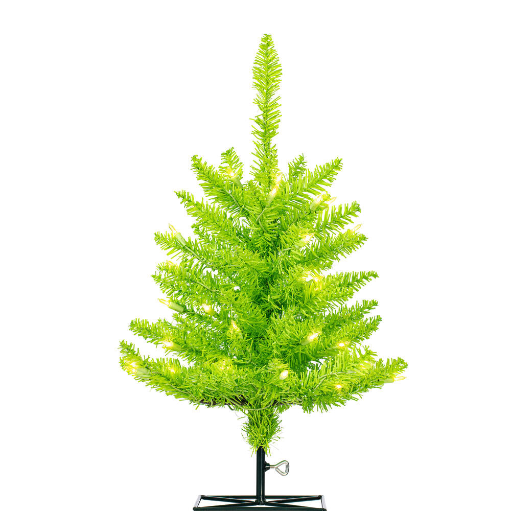 2' x 20” Lime Fir DuraLit 50Lime