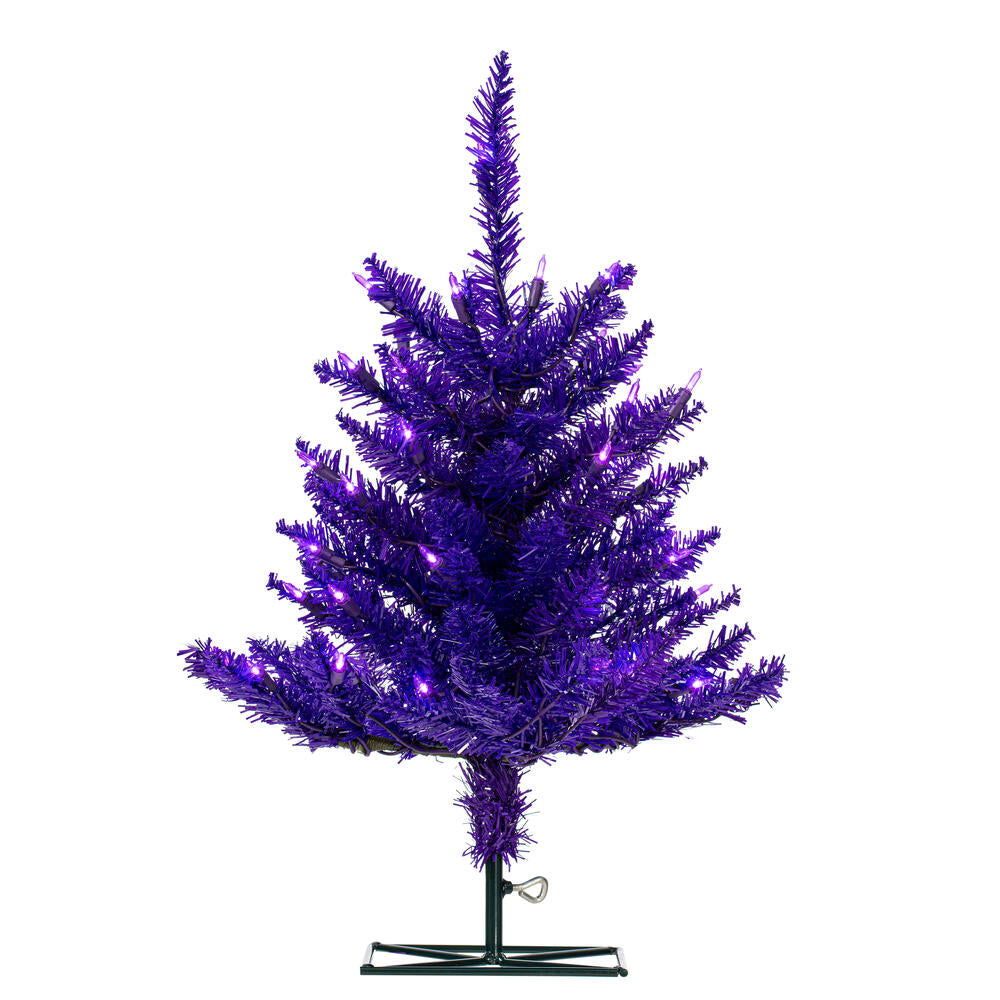 2' x 20” Purple Fir DuraLit 50Purple
