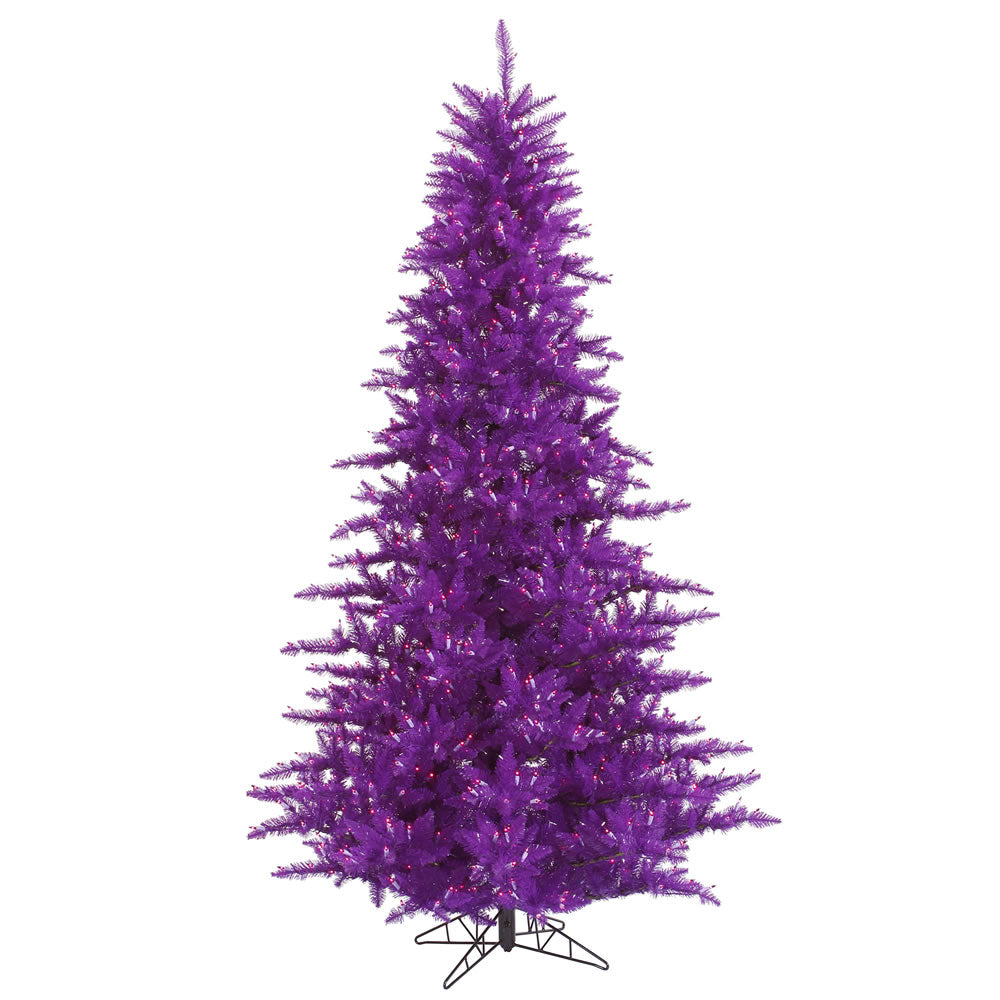 Vickerman 9'x64″ Purple Fir DL LED 1000Prp 2326T - K163181LED