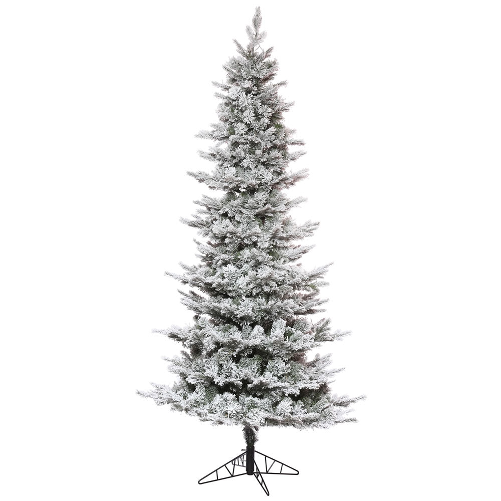 Vickerman 12' x 70″ Flocked Kiana Pine Slim 4689T - K173190
