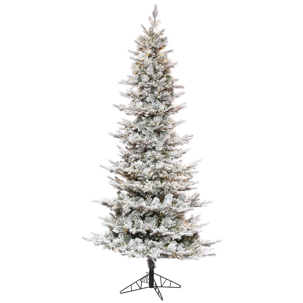 Vickerman 10' x 58” Flocked Kiana 3mm 2300WW - K173286LED