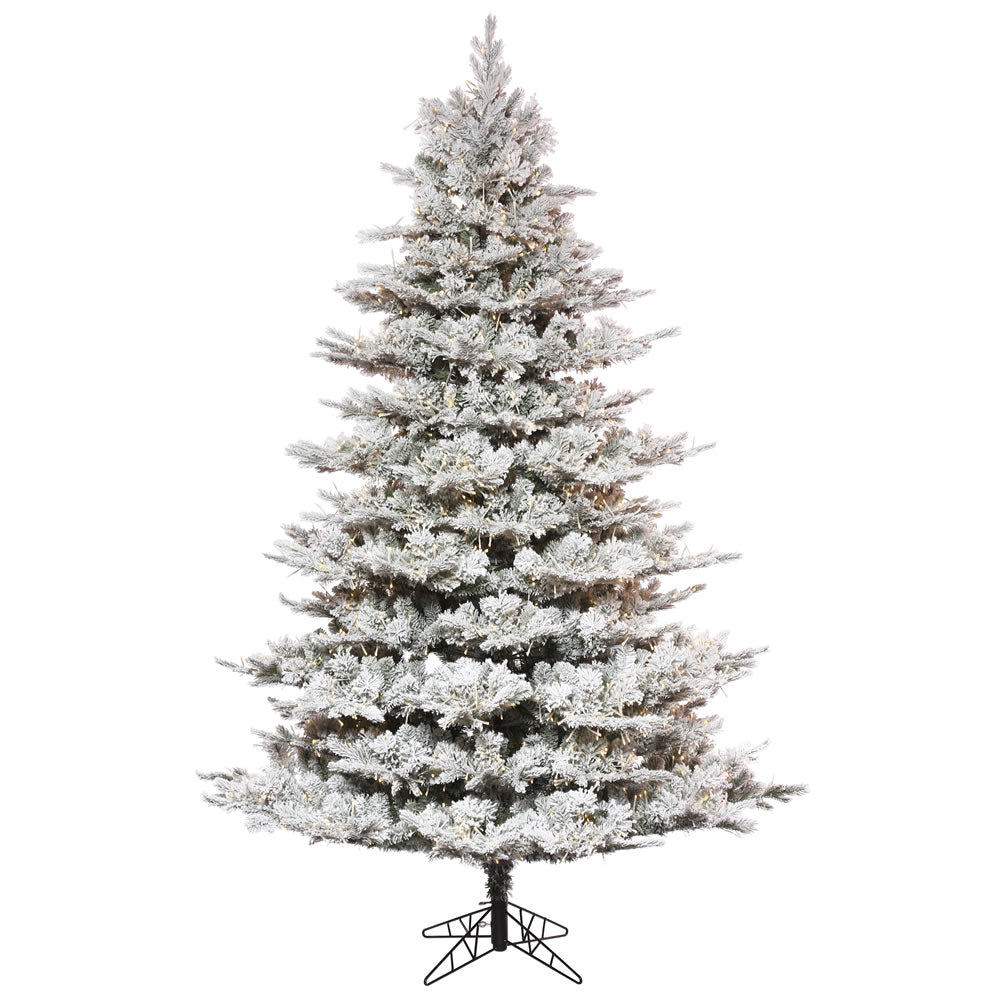 Vickerman 9' x 66” Flocked Kiana 3mm 2450WW - K173481LED