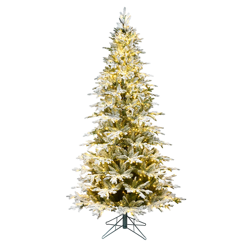 Vickerman 3' x 28” Flk Kamas Fraser DuraLit 100WW - K185031LED
